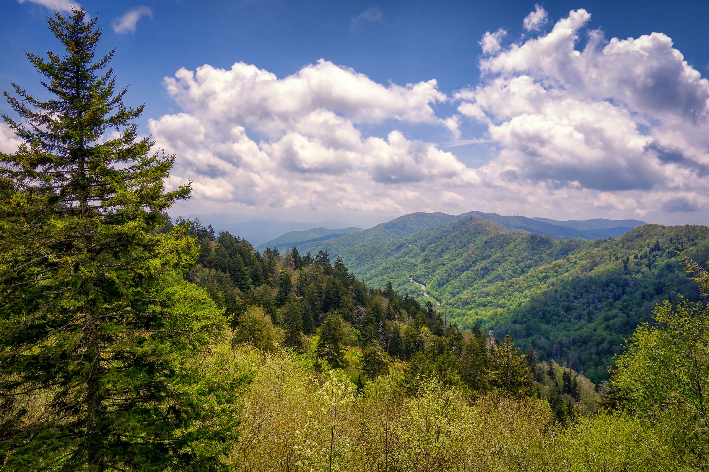 Newfound Gap, Great Smoky Mountains National Park