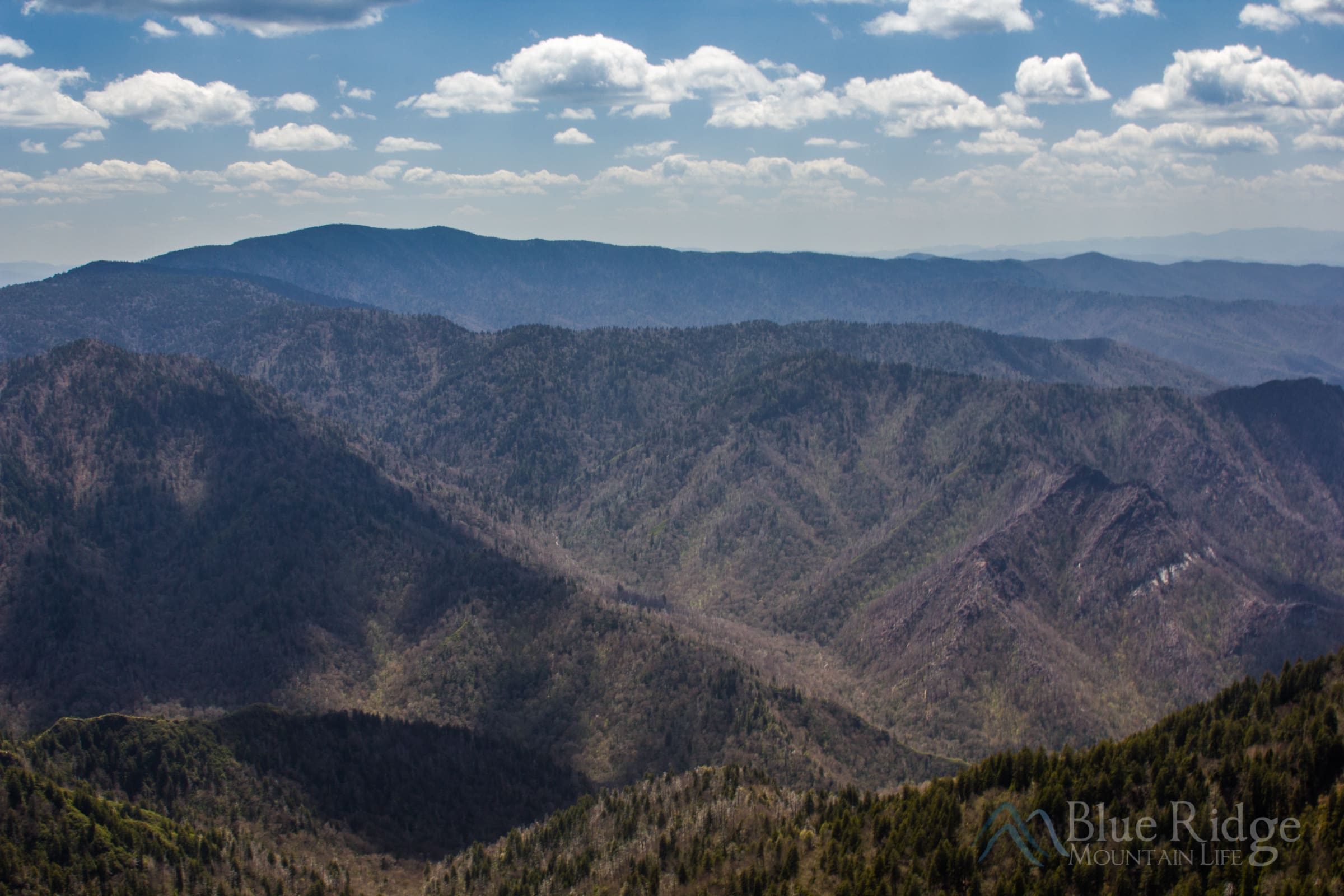 Chimney Tops