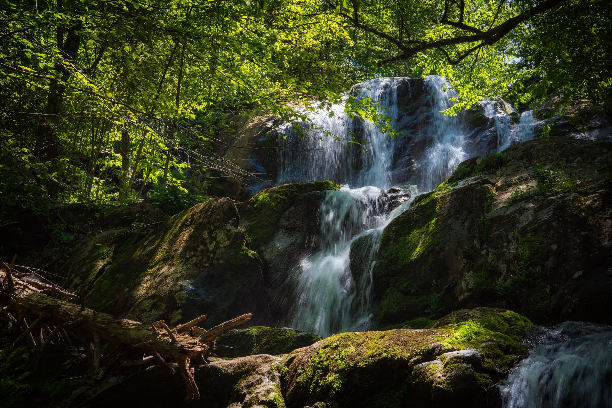 skyline-drive-dark-hollow-falls