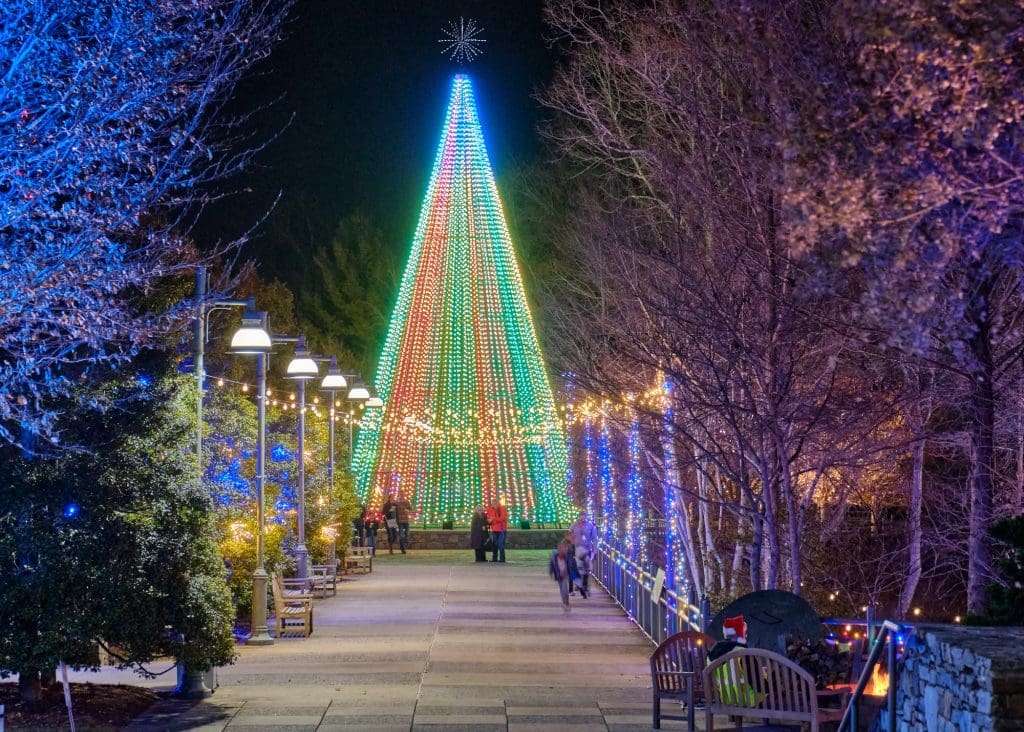 WinterLights19-GrandGardenPromenade-DavidLewis-1024x732