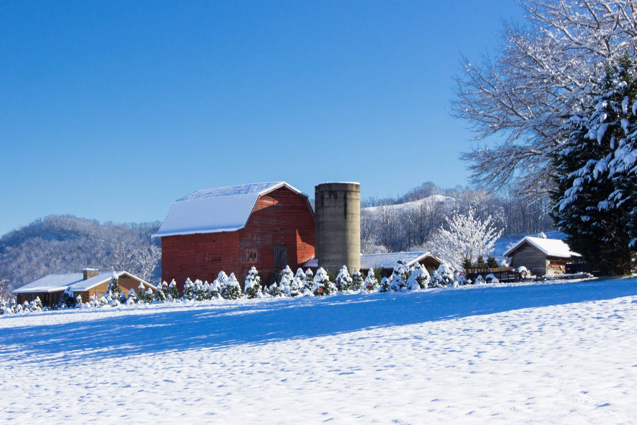 7-up-barn-winter-jenn