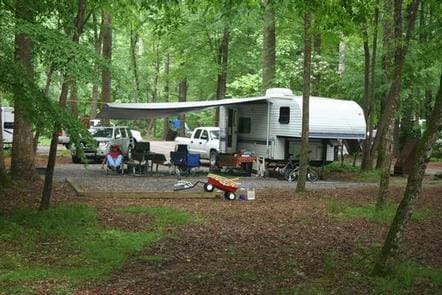 Cataloochee Campground