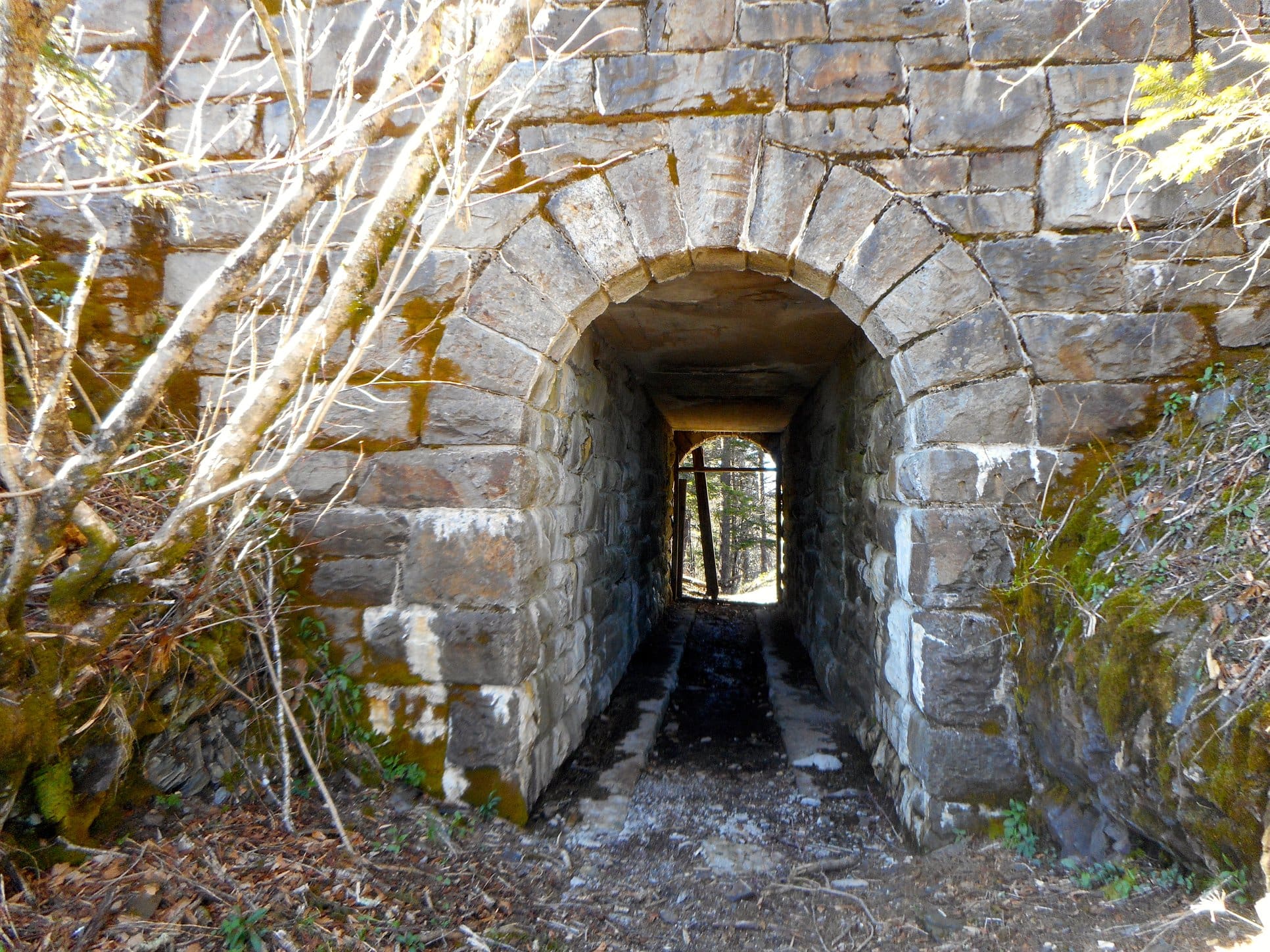 Hiker's Tunnel Clingmans Dome Hiker's Tunnel Clingmans Dome