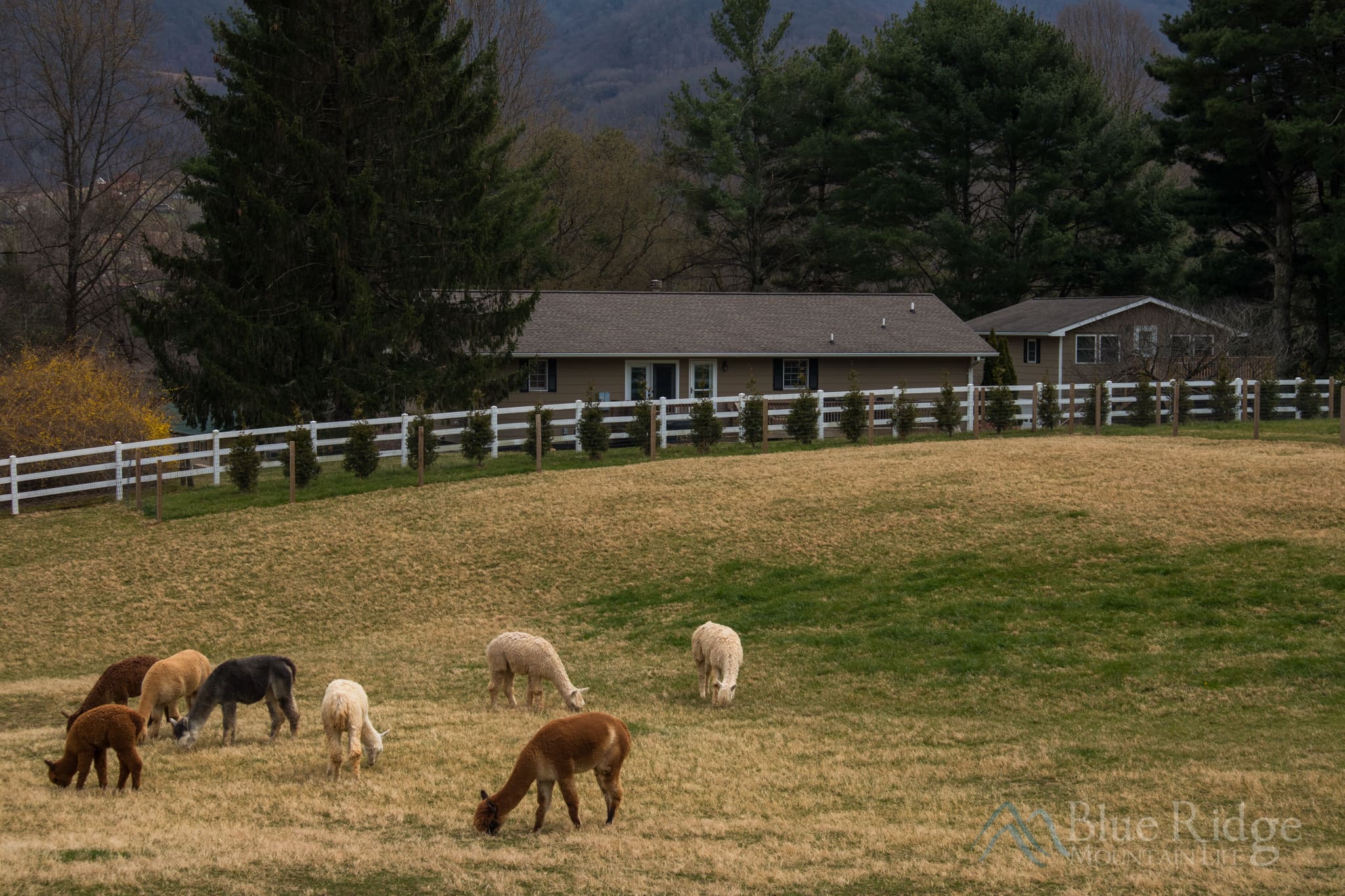 Winchester Creek Farm Winchester Creek Farm