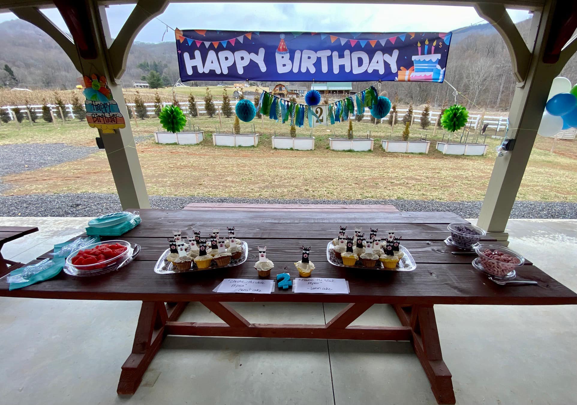birthday