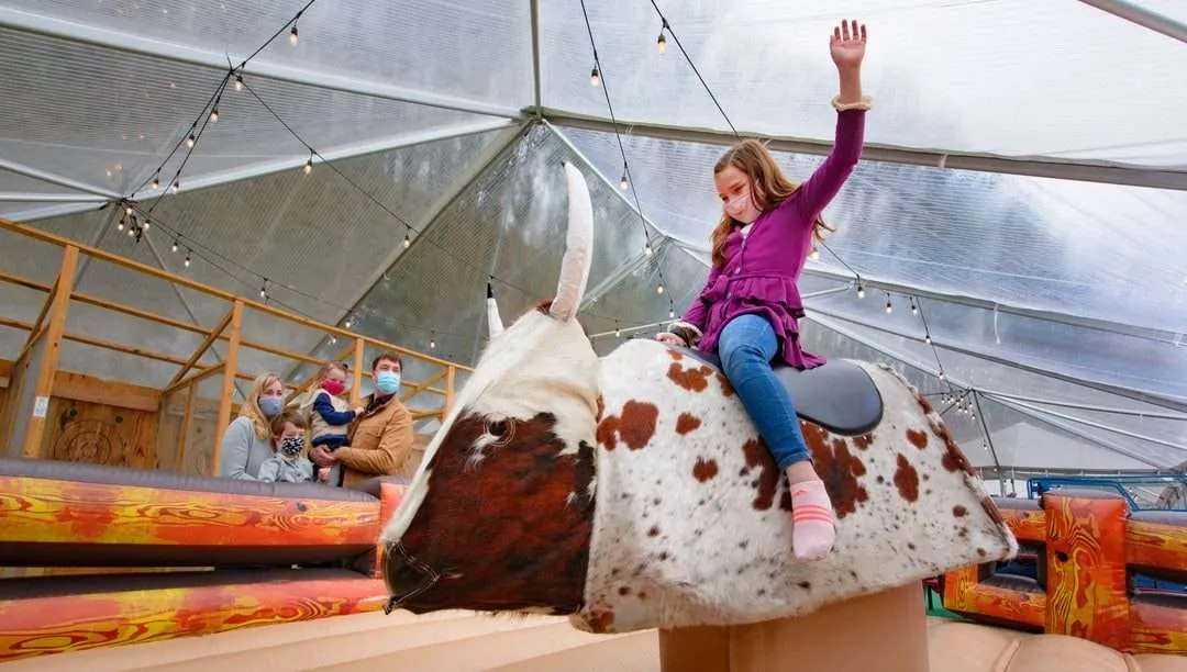 Bull Riding Mystery Hill Bull Riding Mystery Hill
