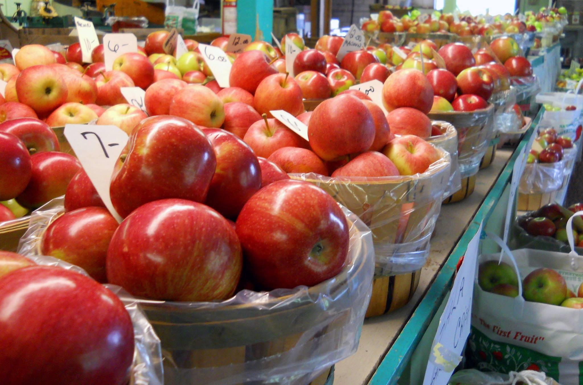 Waynesville NC Apple Festival Waynesville NC Apple Festival