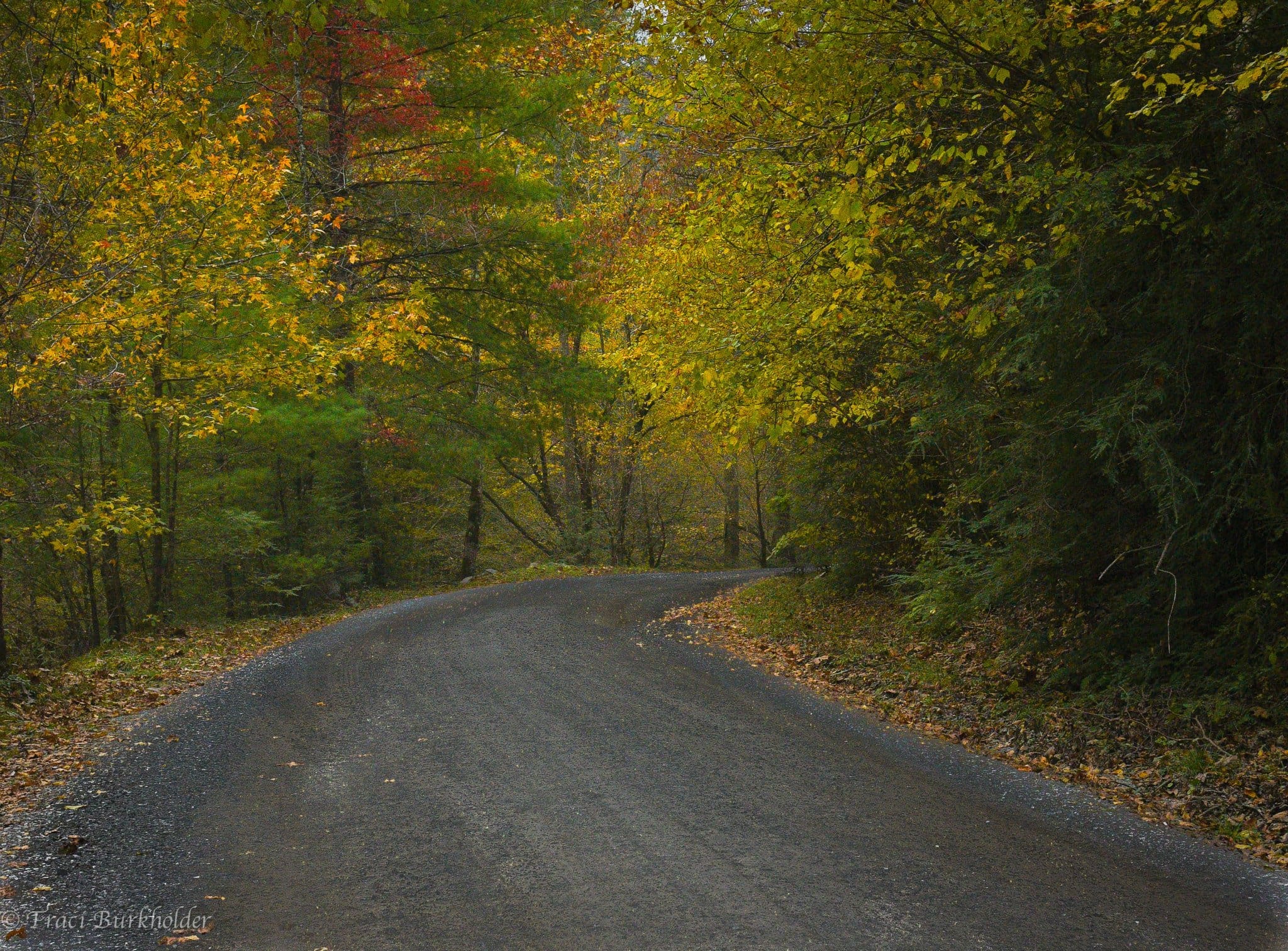 Upper Tremont Road Upper Tremont Road