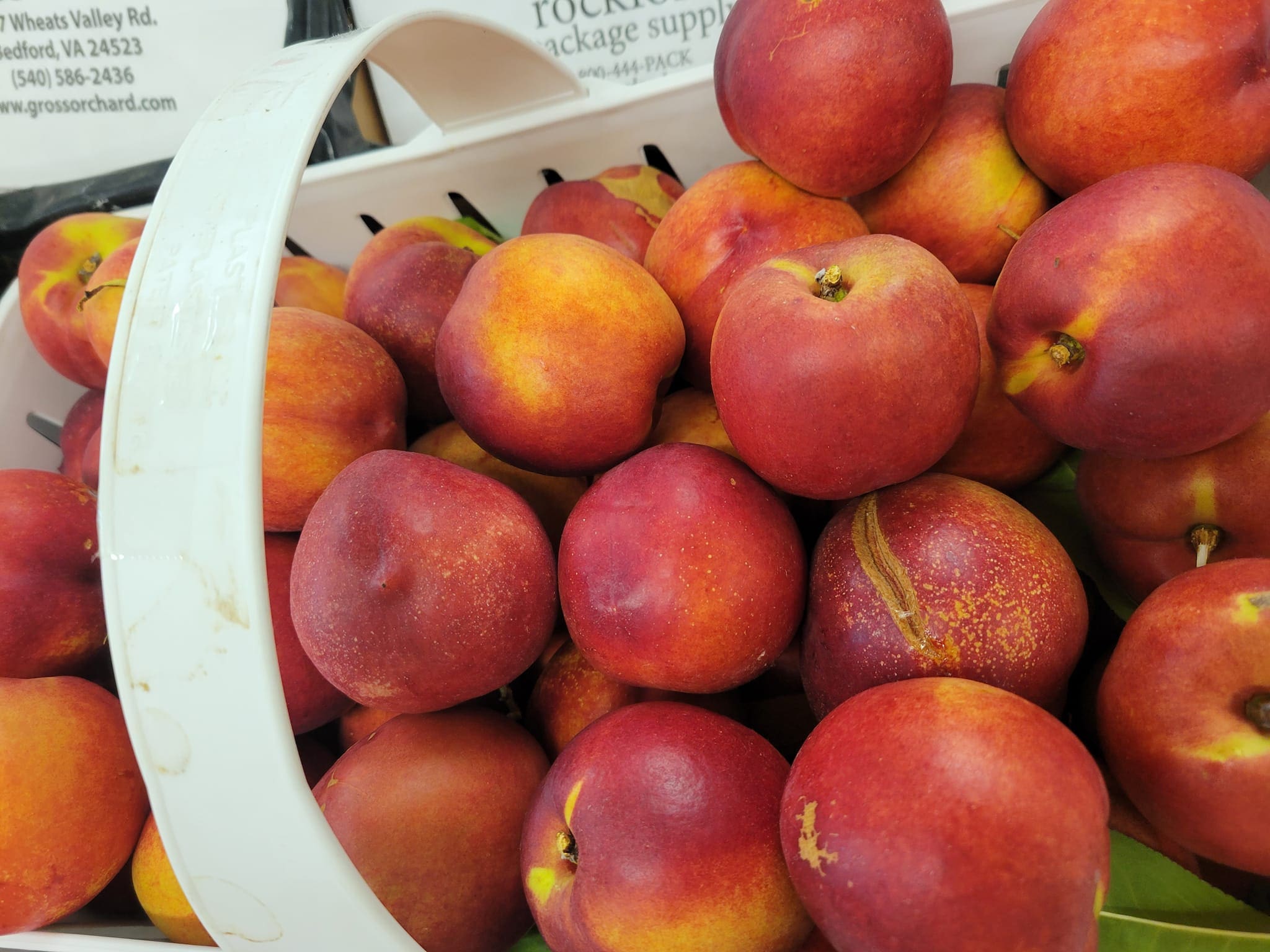 grossorchard