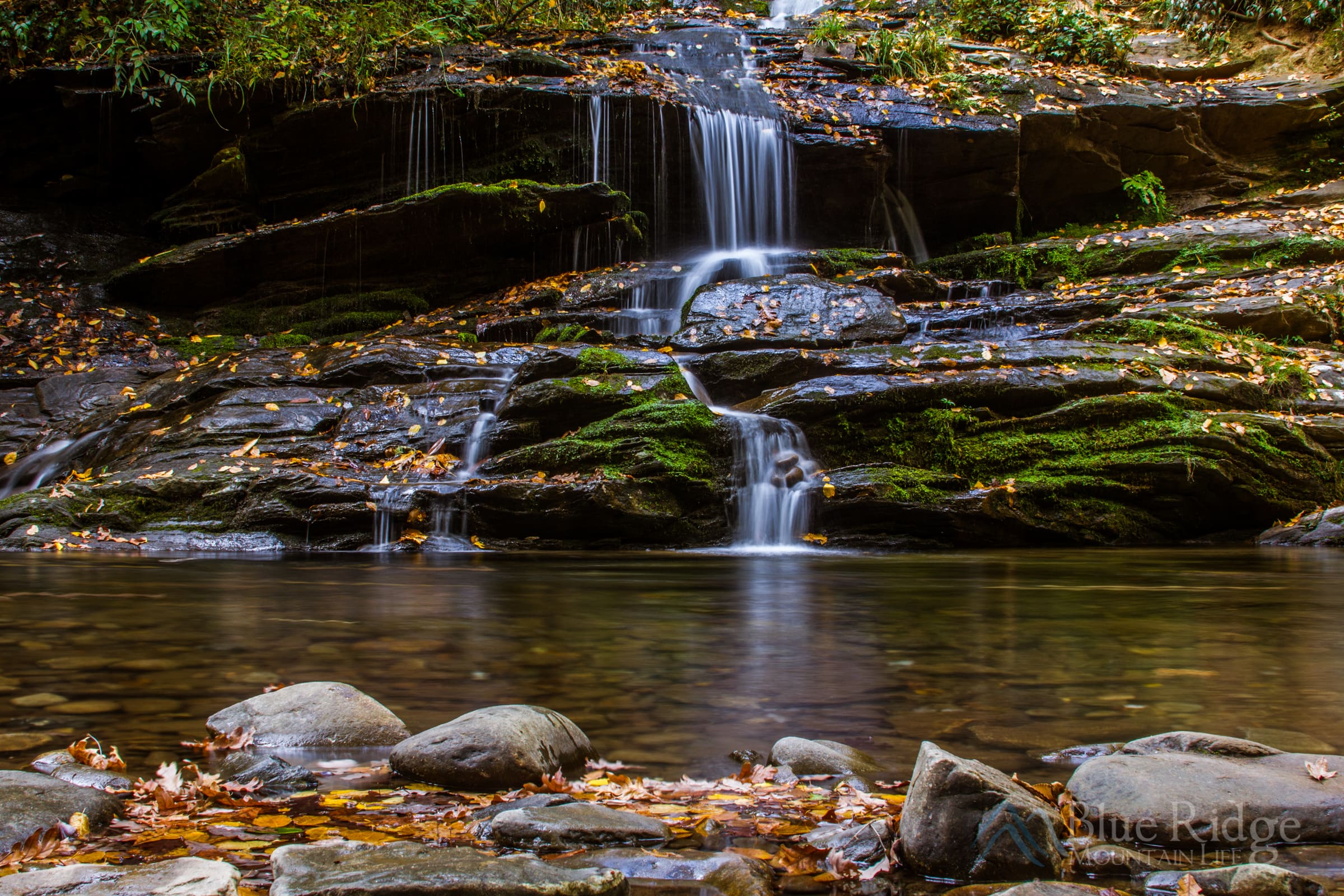 Tom Branch Falls