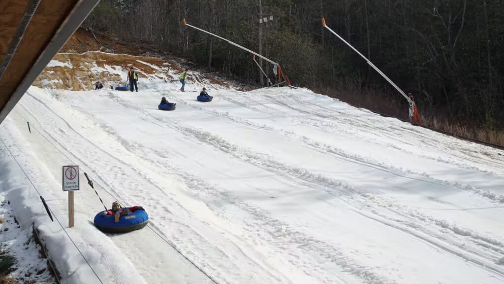 black-bear-snow-tubing
