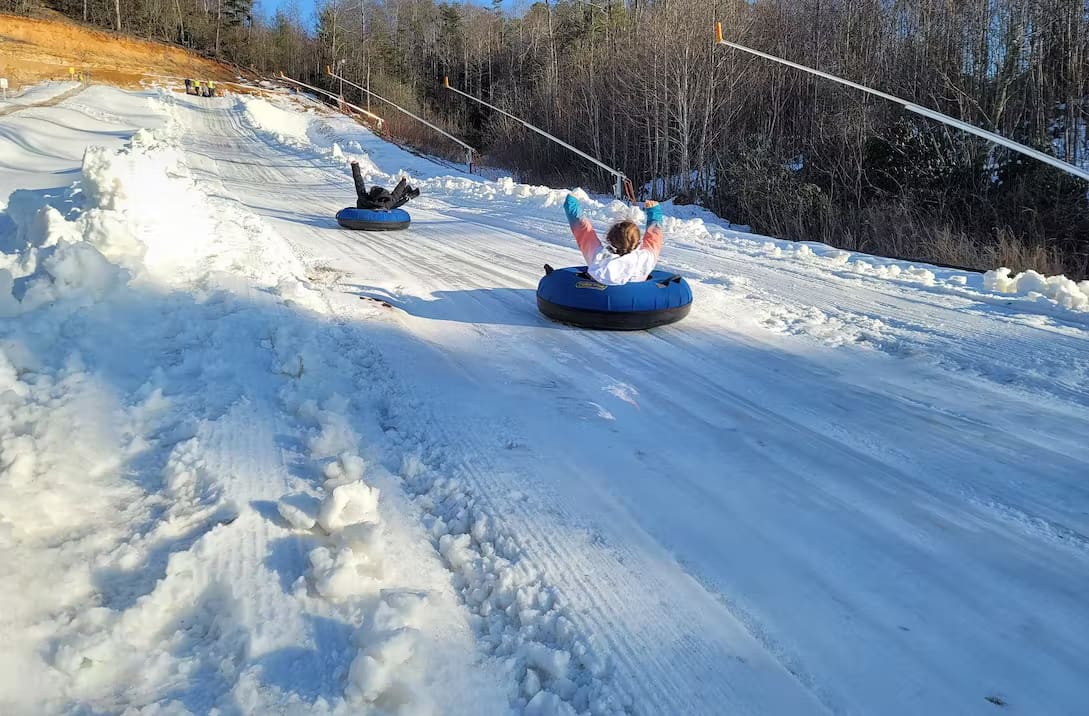 black-bear-snow-tubing