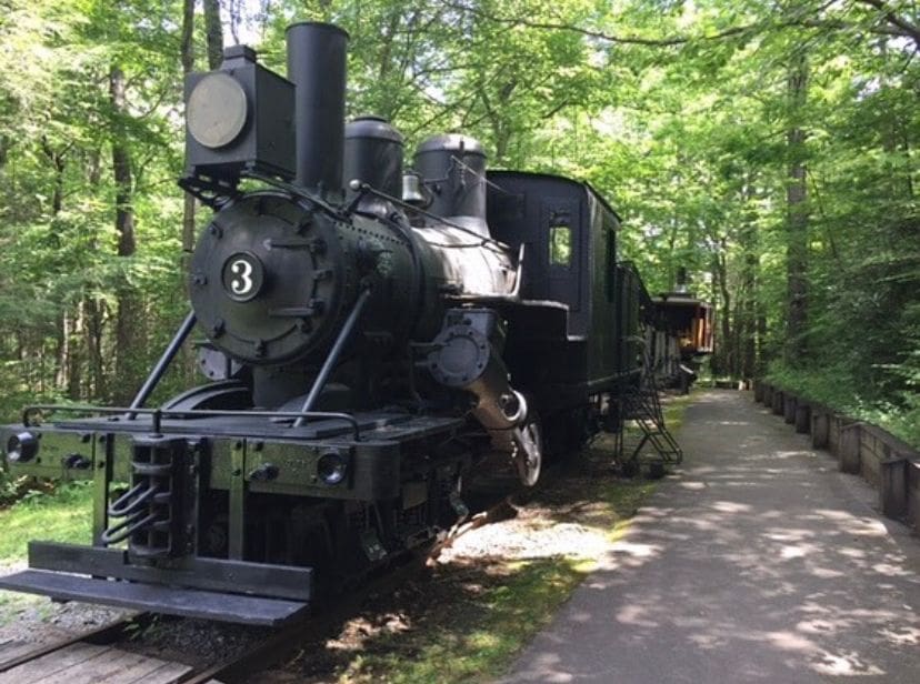 logging-railroad