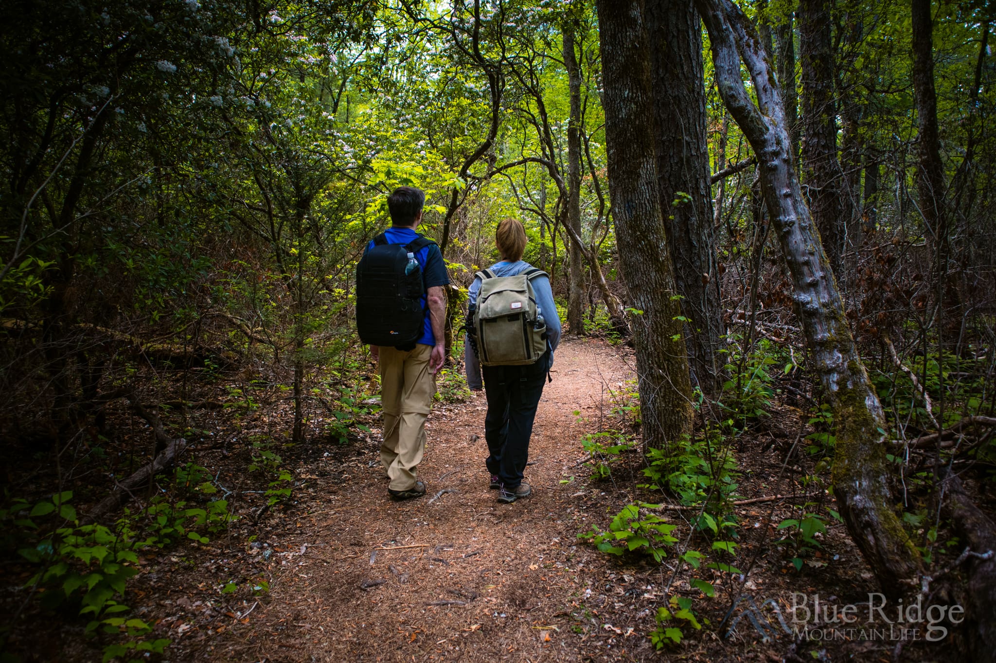 Hiking Trails in the Blue Ridge Mountains Hiking Trails in the Blue Ridge Mountains