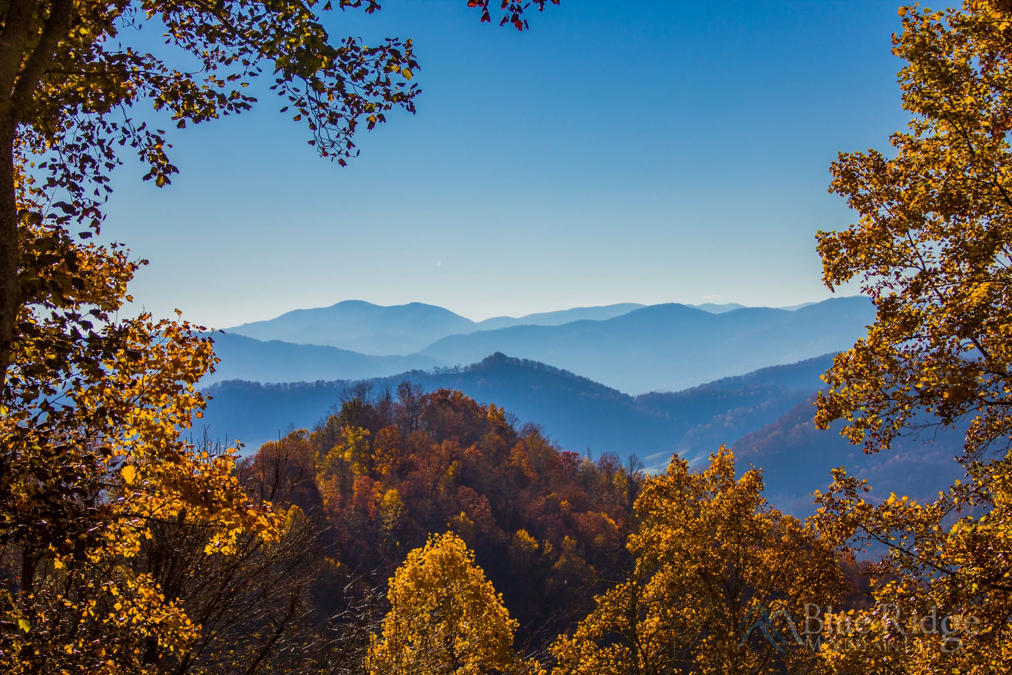 Fall in the Blue Ridge Mountains Fall in the Blue Ridge Mountains