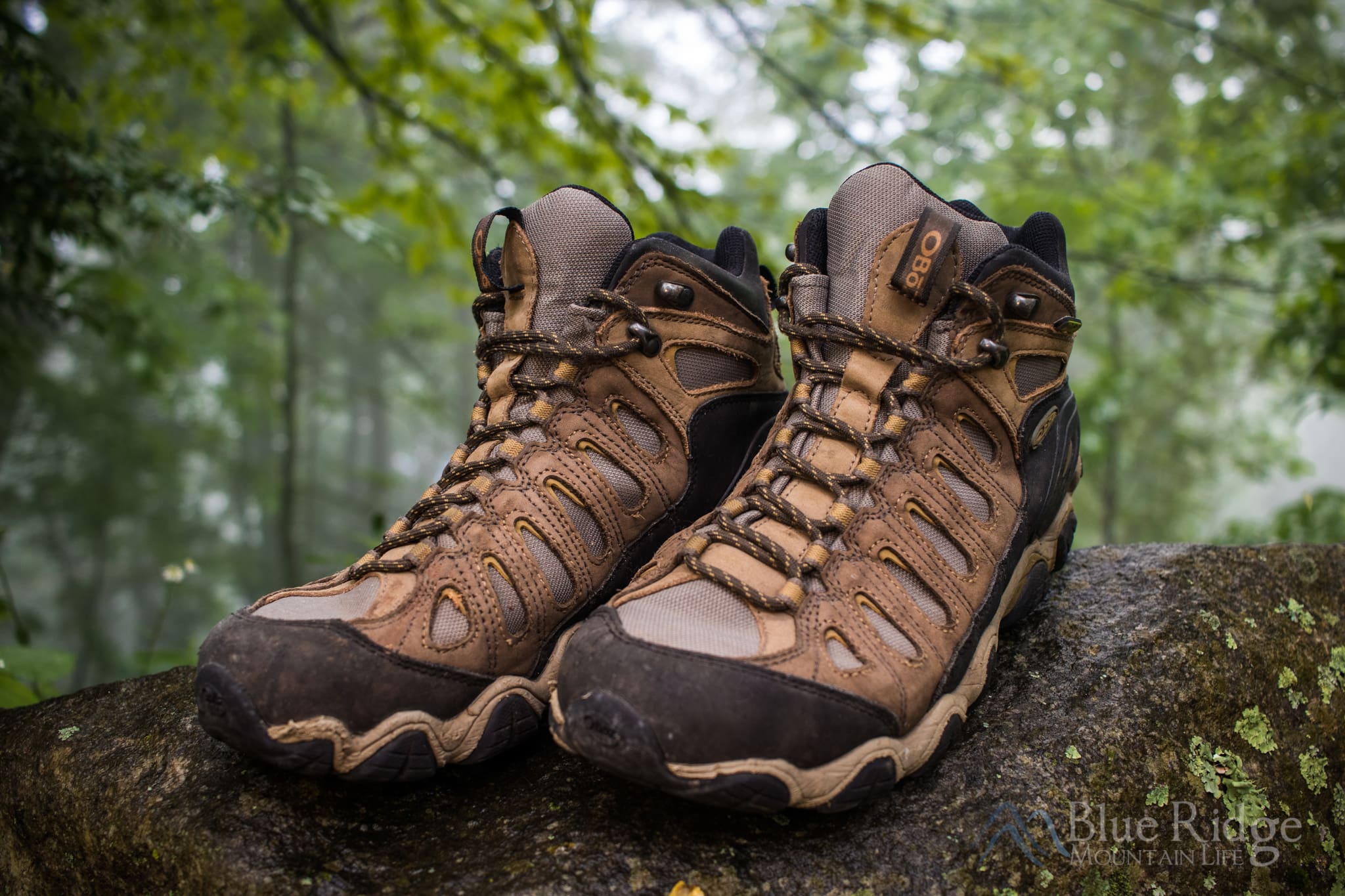Hiking Boots Oboz Hiking Boots from the Front