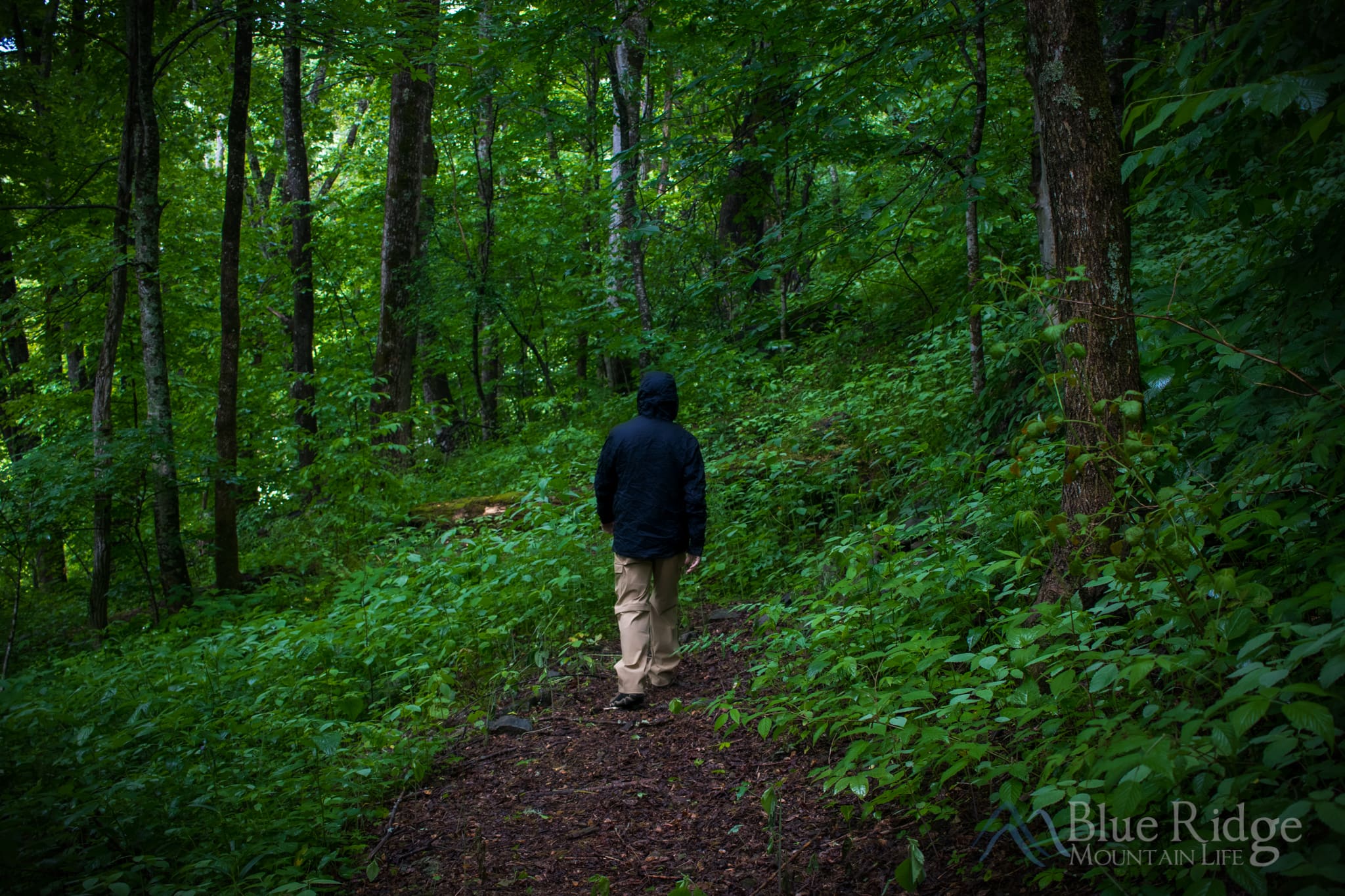 Hiking with Rain Gear Man hiking in the woods with rain gear on during a storm