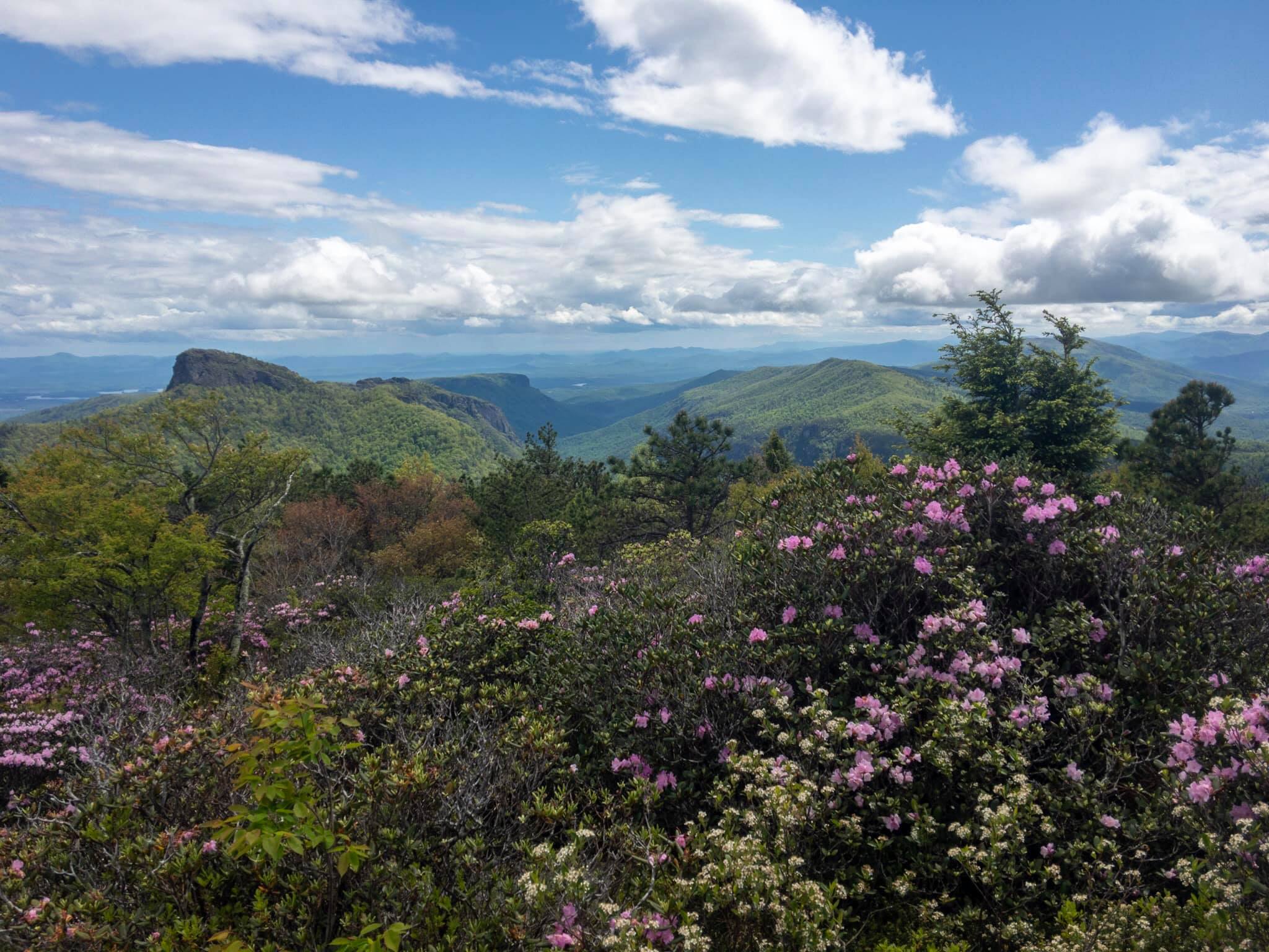 Hawksbill View Hawksbill View