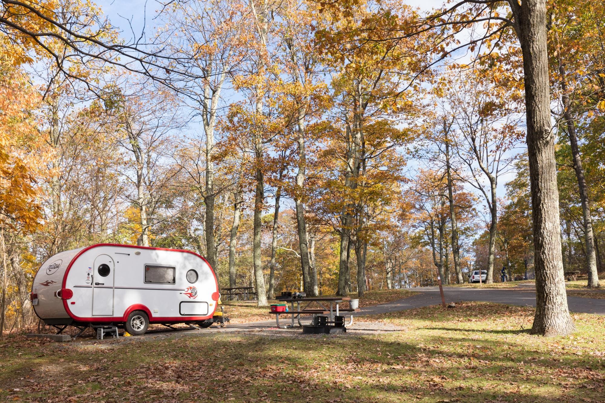 Mathews Arm Campground Loop A Road, Camper, Picnic Table Mathews Arm Campground