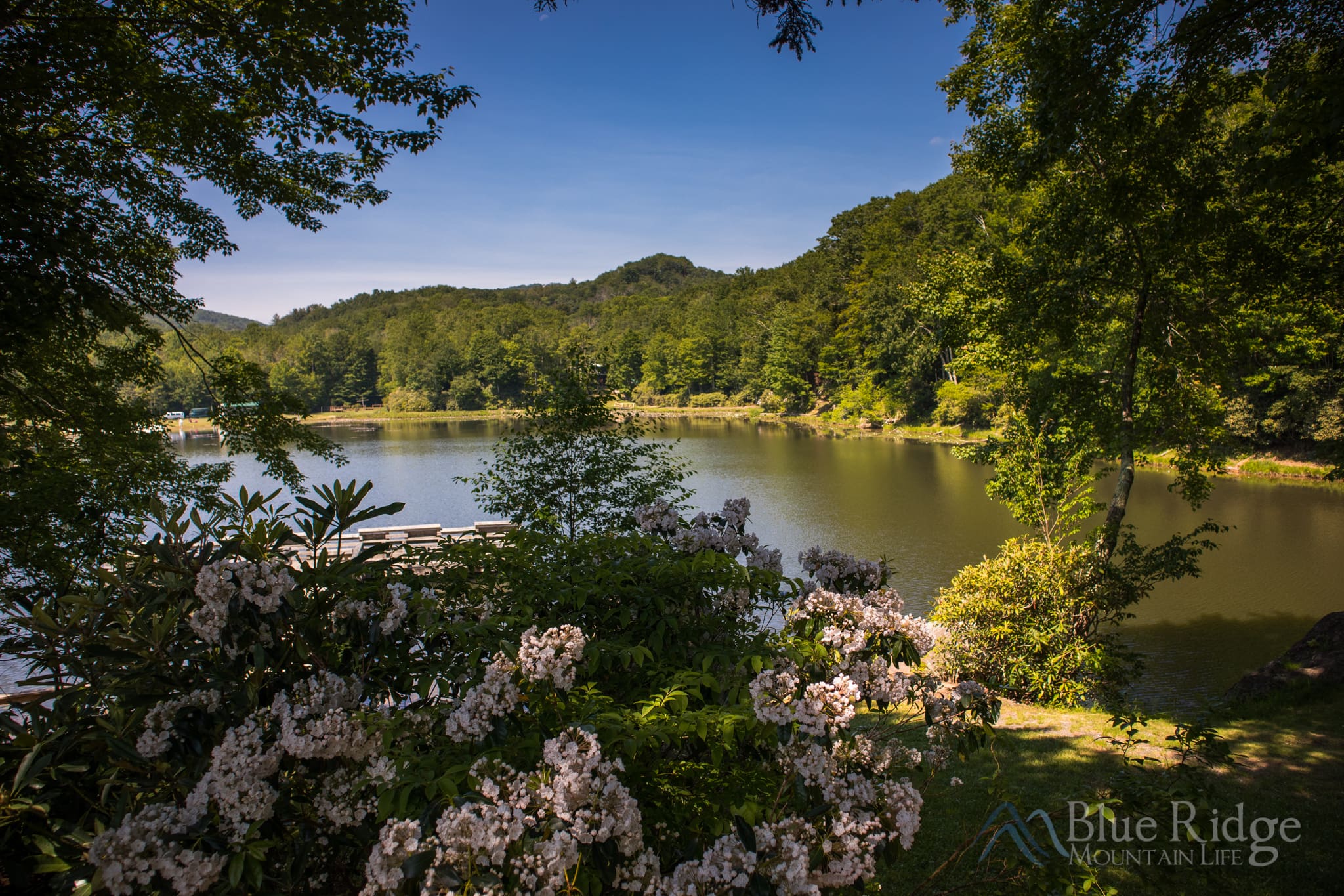 Wildcat Lake Banner Elk NC Wildcat Lake Banner Elk NC