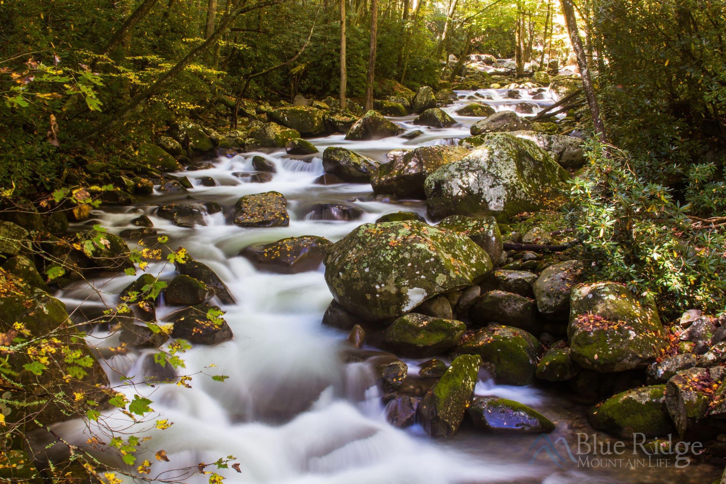 Big Creek Trail NC - Great Smoky Mountains National Park Big Creek Trail NC - Great Smoky Mountains National Park