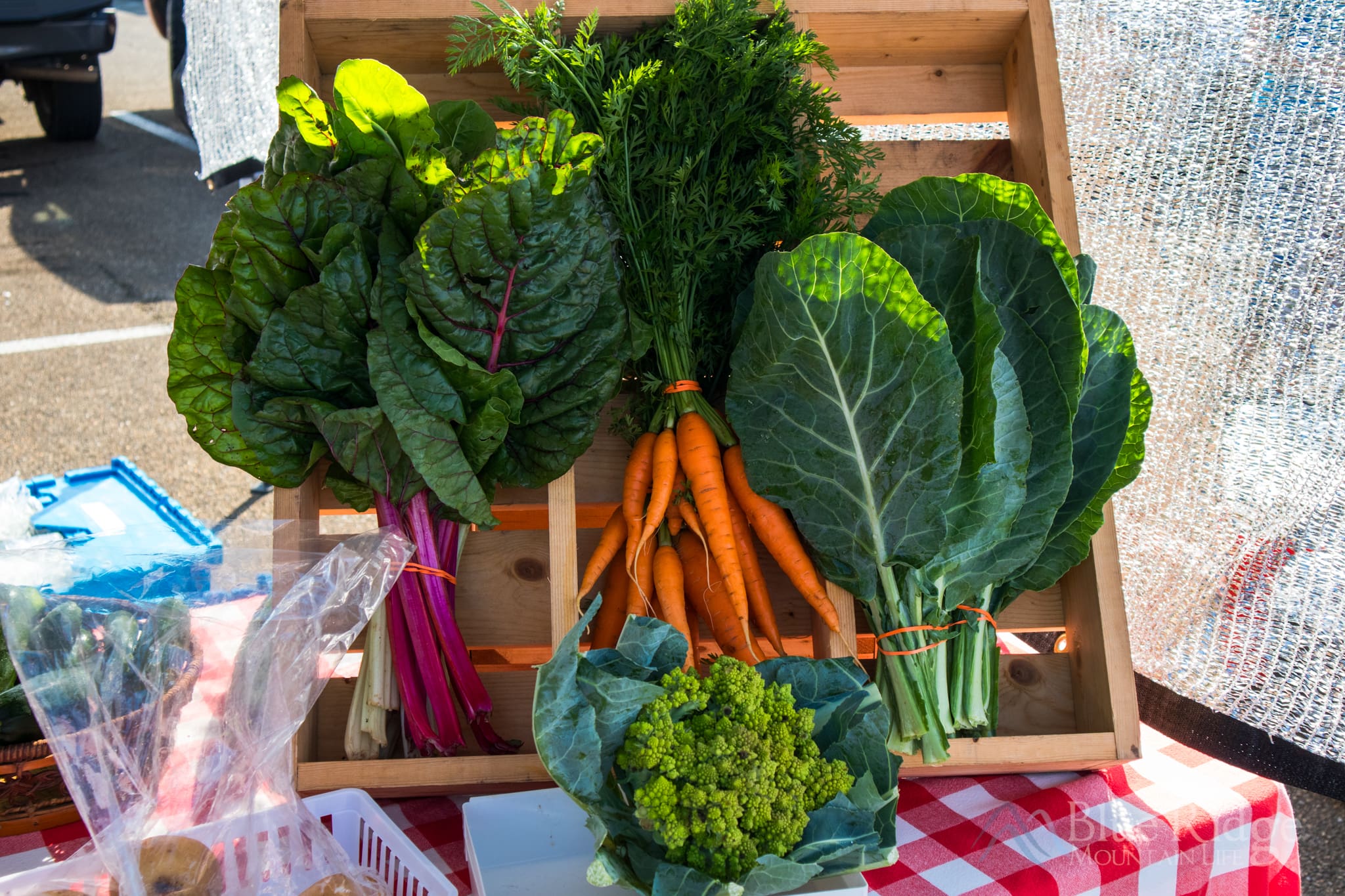 Ellijay Farmers Market Ellijay Farmers Market