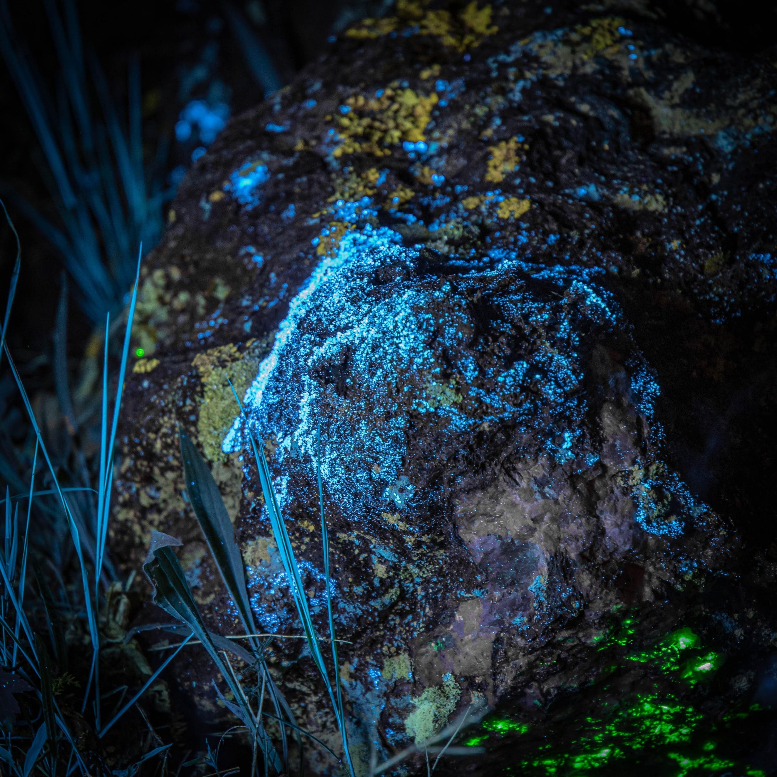 Emerald-Village-BlackLight-Tour1