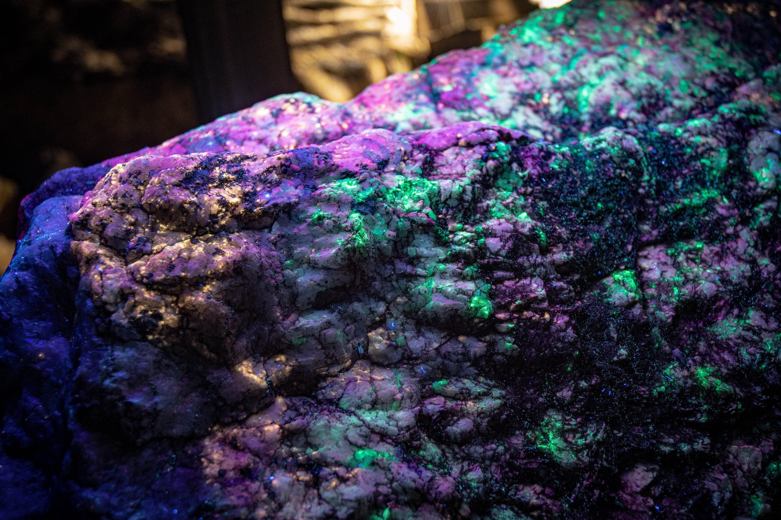 Emerald-Village-BlackLight-Tour6