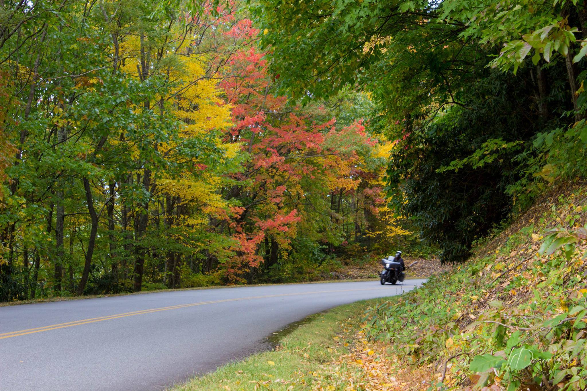 Motorcycle on the Blue Ridge Parkway Motorcycle on the Blue Ridge Parkway