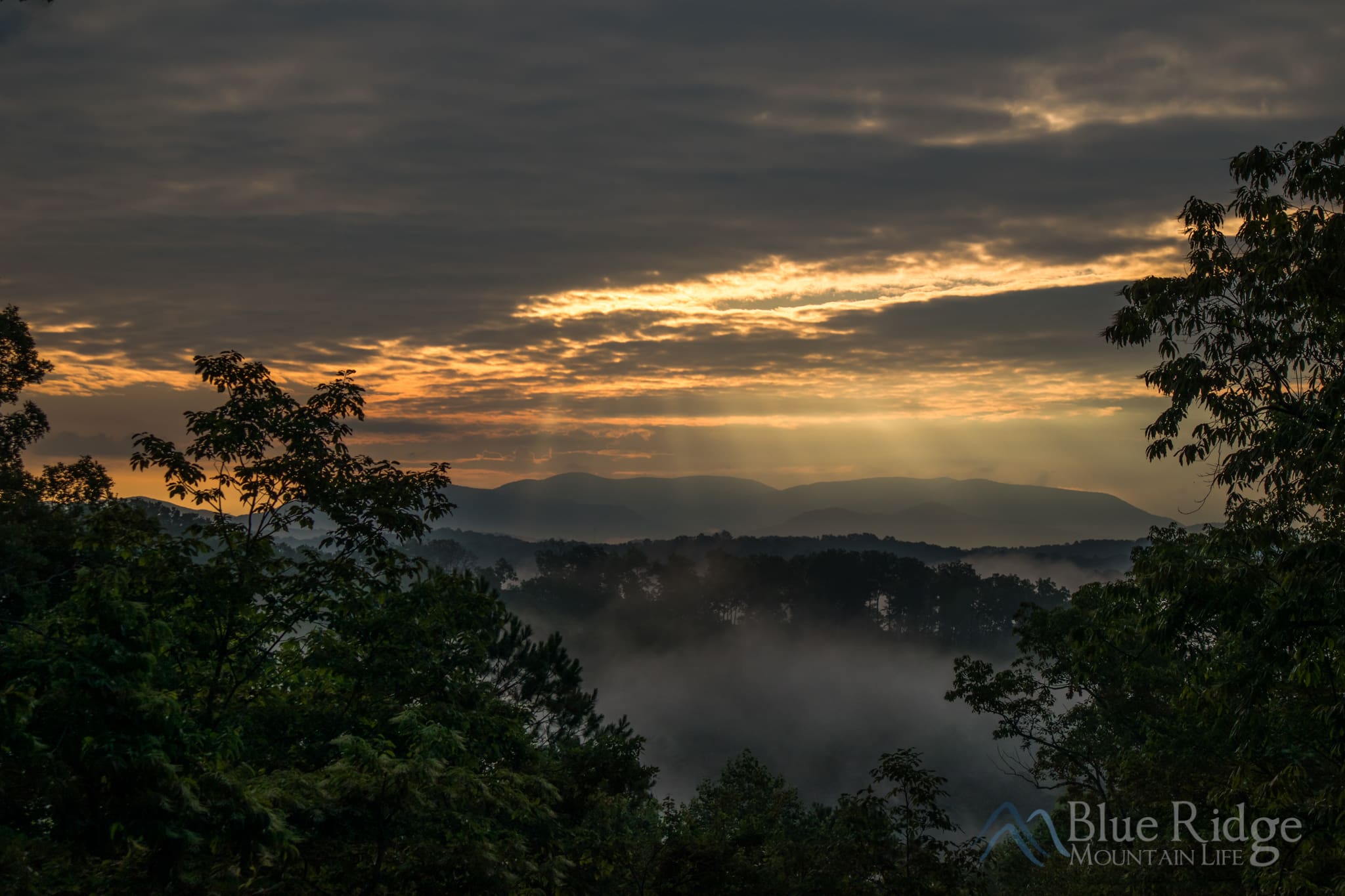 Best Ellijay GA Cabin Rentals Best Ellijay GA Cabin Rentals