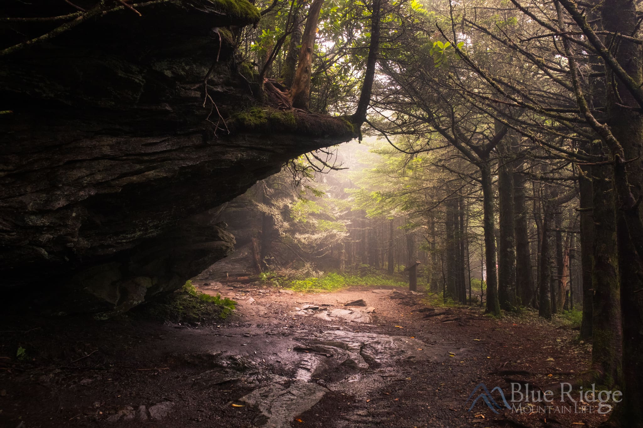 Mount Mitchell Mount Mitchell