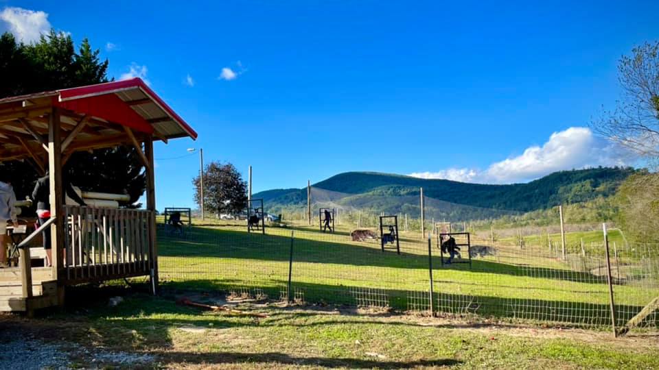 Justus Apple Orchard Hendersonville NC Justus Apple Orchard Hendersonville NC