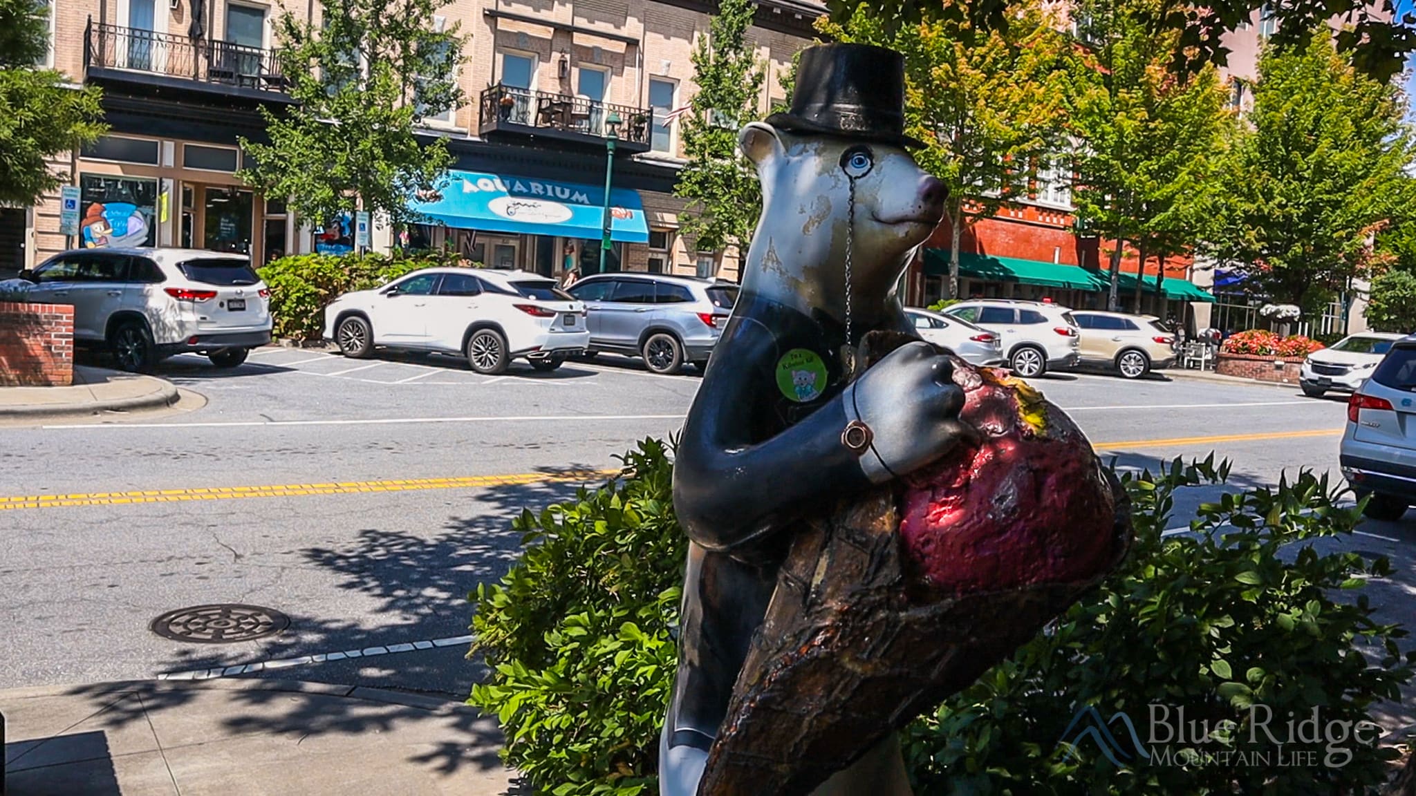 Hendersonville NC Downtown Photo of downtown Hendersonville NC with famous bear statue in the foreground and the town in th background.