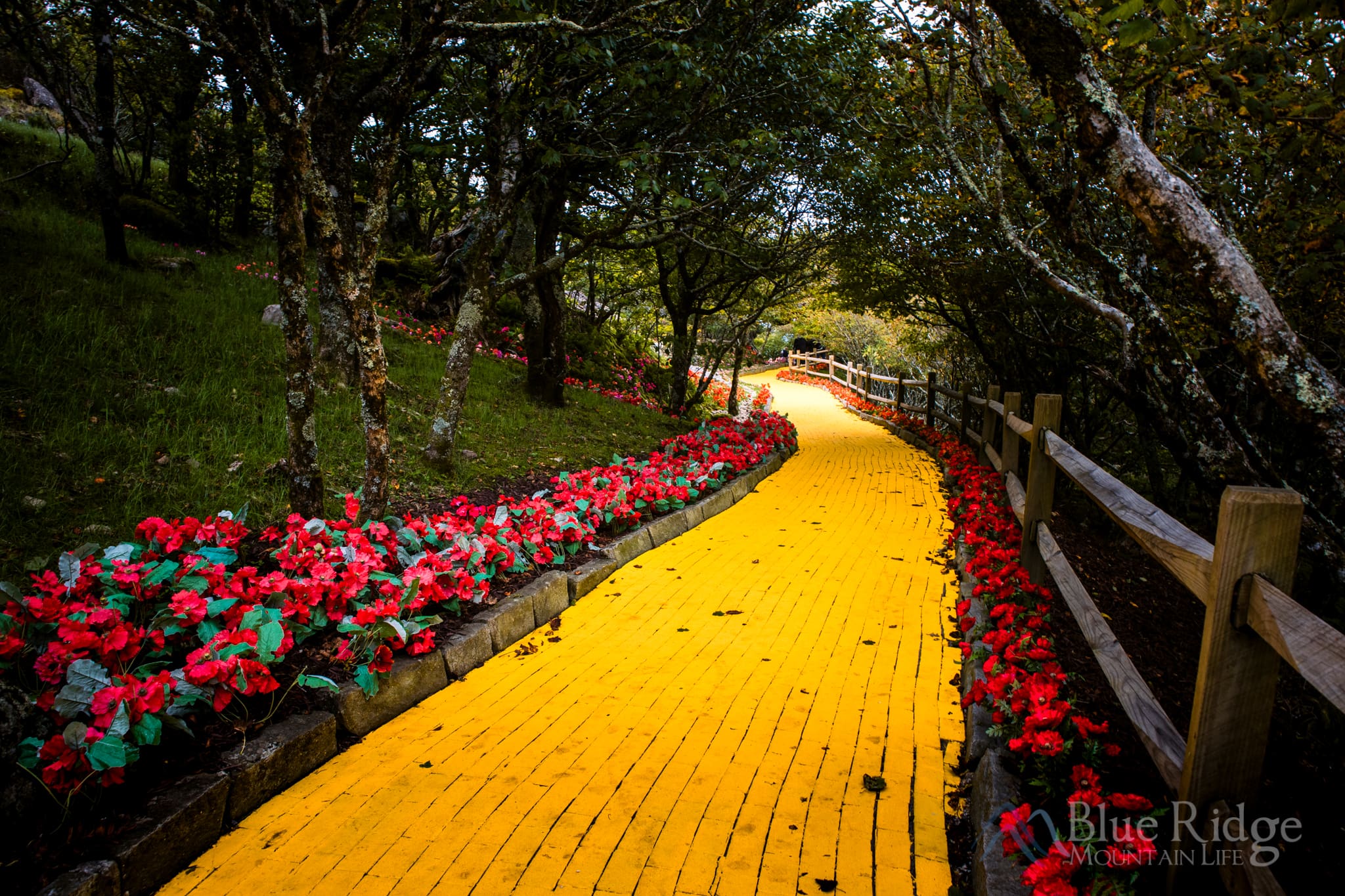 Land of Oz Beech Mountain NC Land of Oz Beech Mountain NC