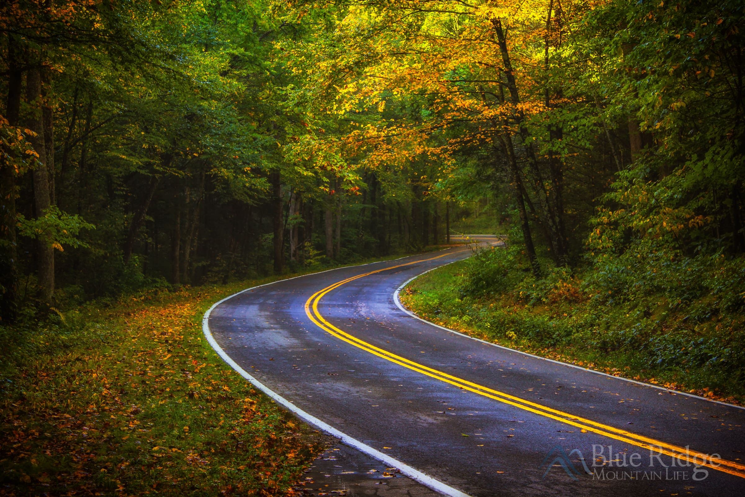 Fall on the Forest Heritage Scenic Byway Photo of Fall on the Forest Heritage Scenic Byway