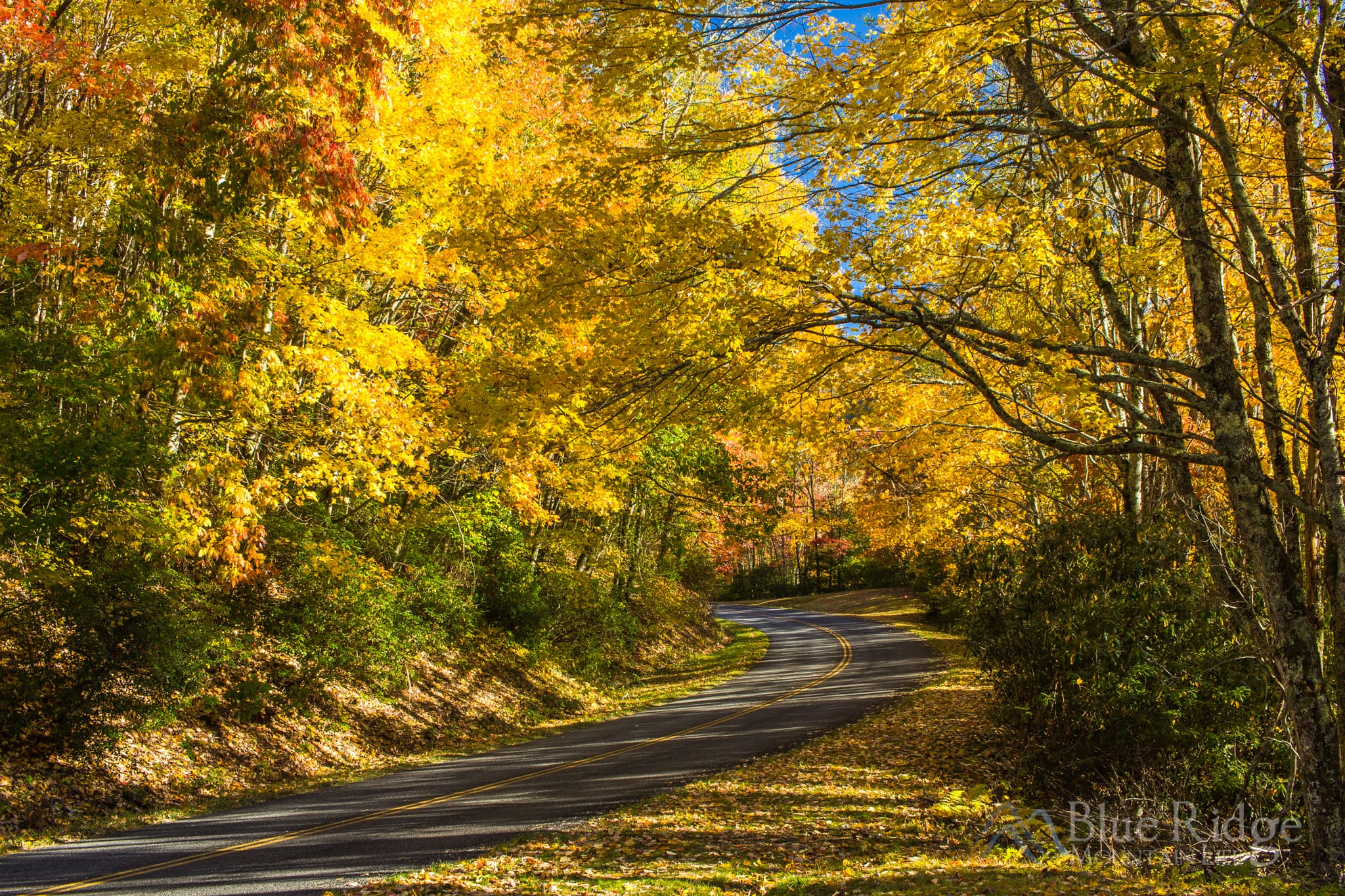 Blue Ridge Parkway Fall Colors Blue Ridge Parkway Fall Colors