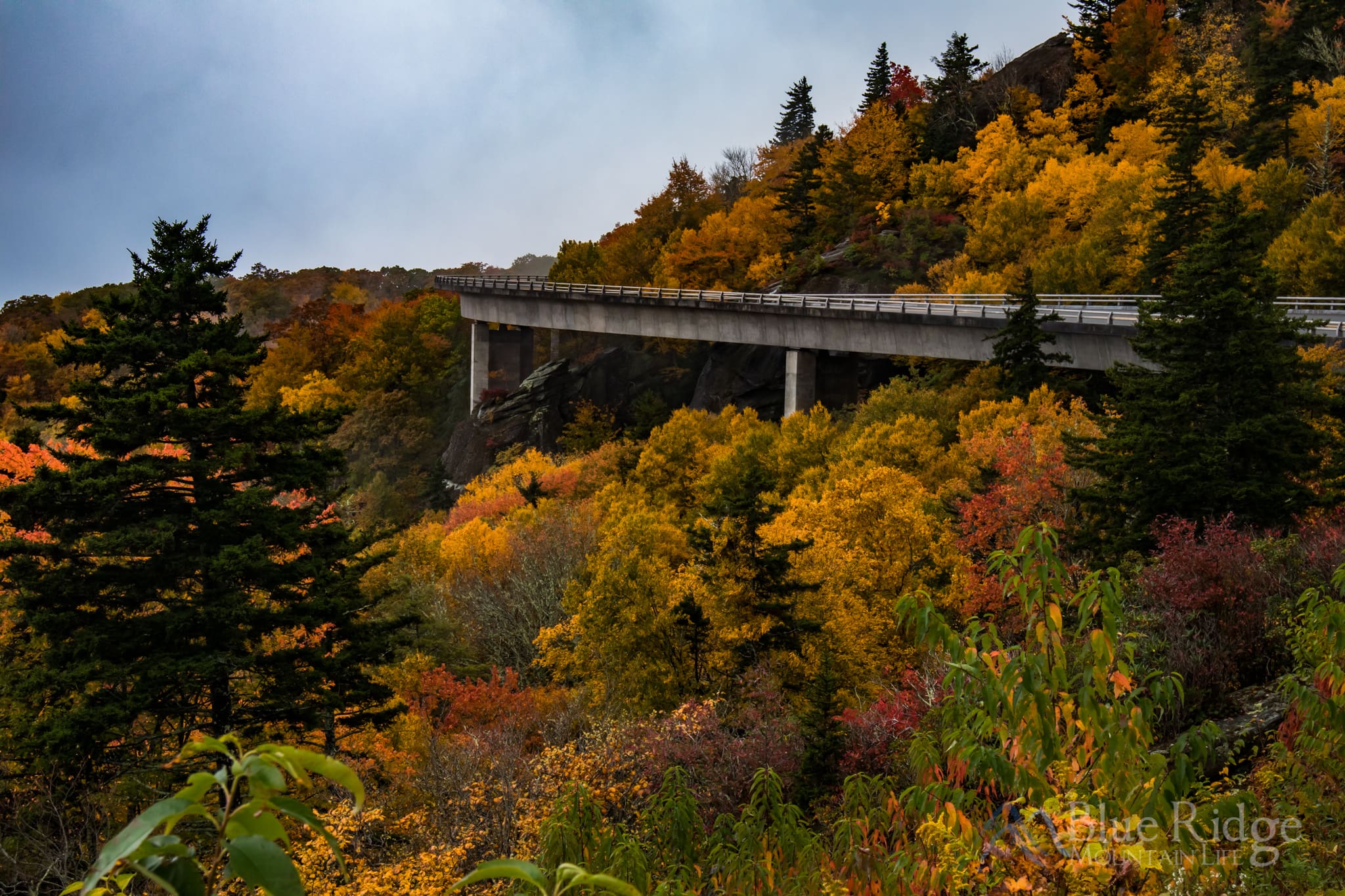 Peak Fall Color at Linn Cove Viaduct Peak Fall Color at Linn Cove Viaduct