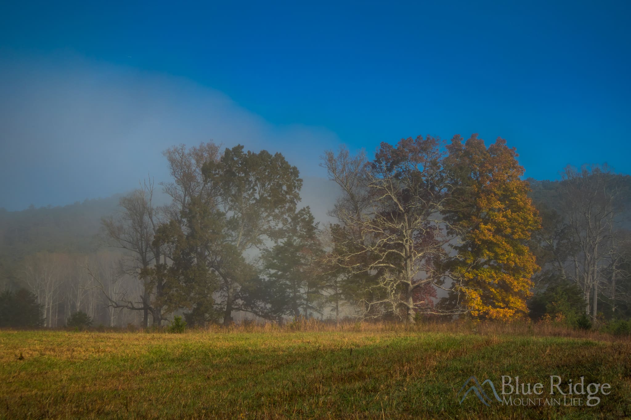 Fall Colors in Cades Cove TN Fall Colors in Cades Cove TN