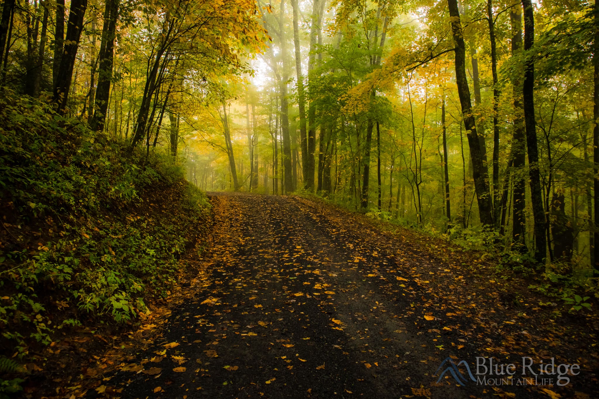 Fall Colors in Pigeon Forge TN Fall Colors in Pigeon Forge TN