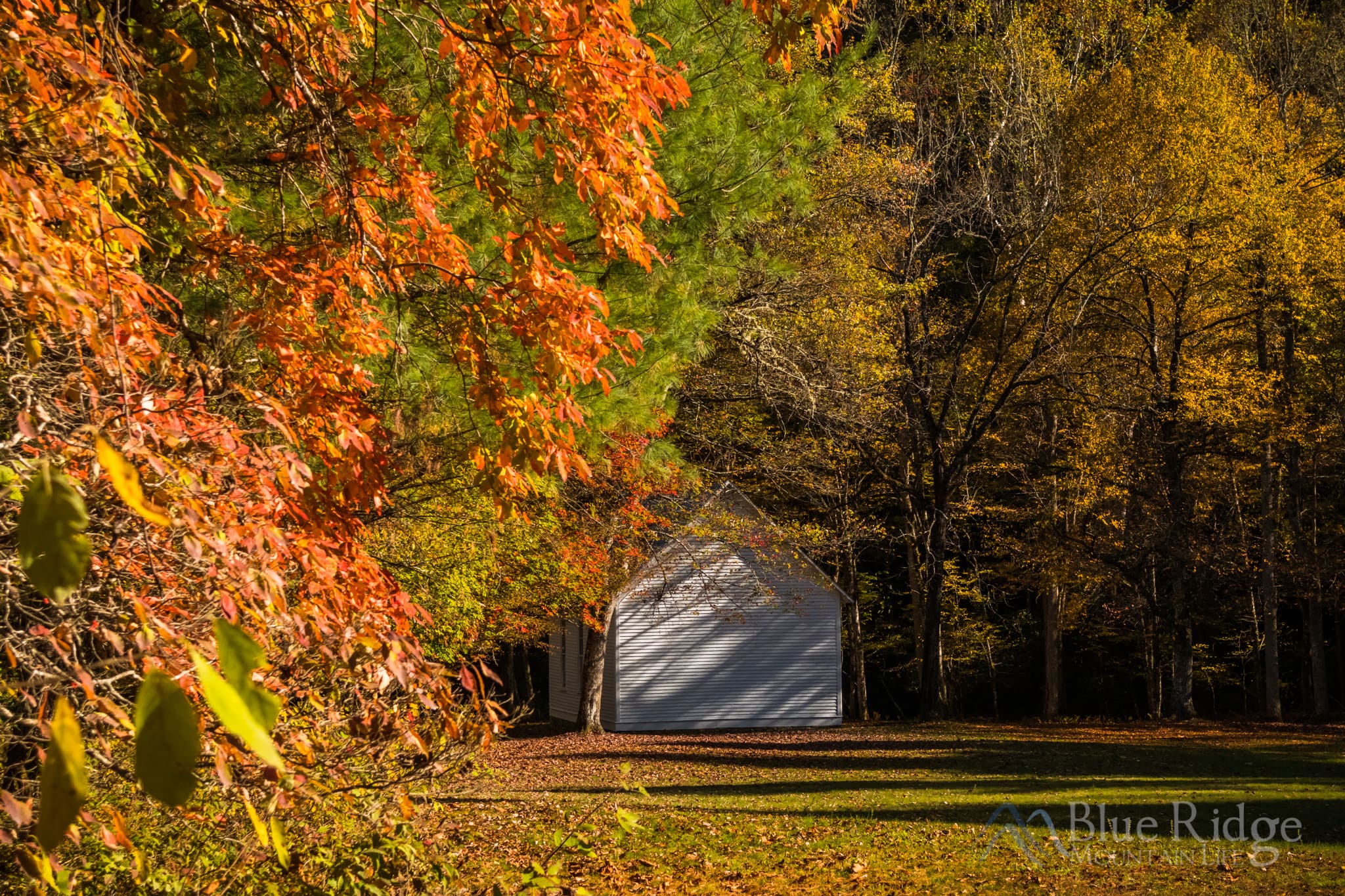 Fall Colors at Palmer Chapel in Cataloochee Valley Fall Colors at Palmer Chapel in Cataloochee Valley