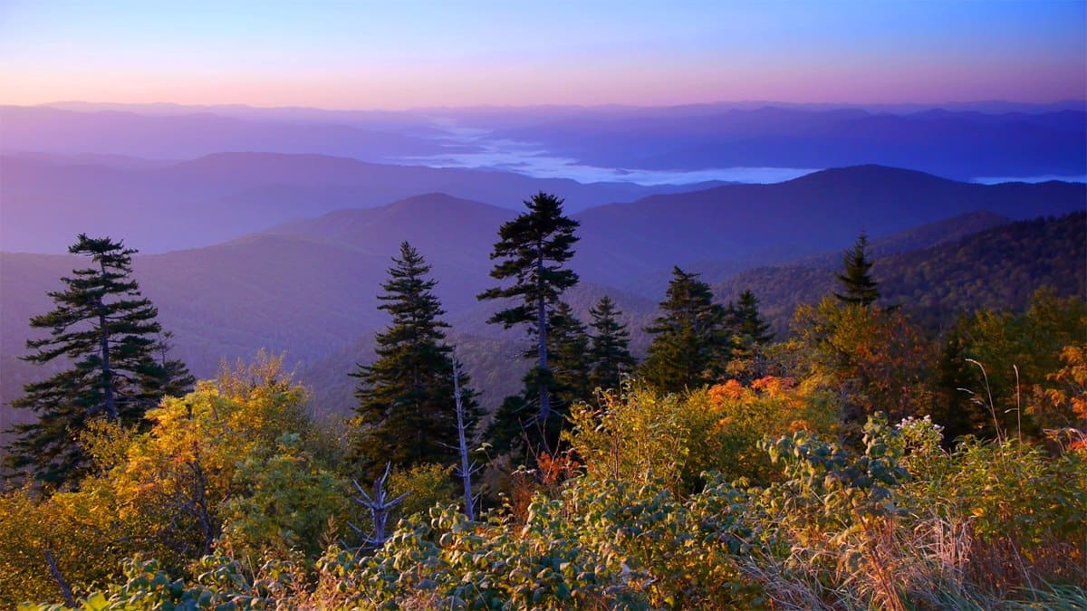 Fall at Clingmans Dome Fall at Clingmans Dome