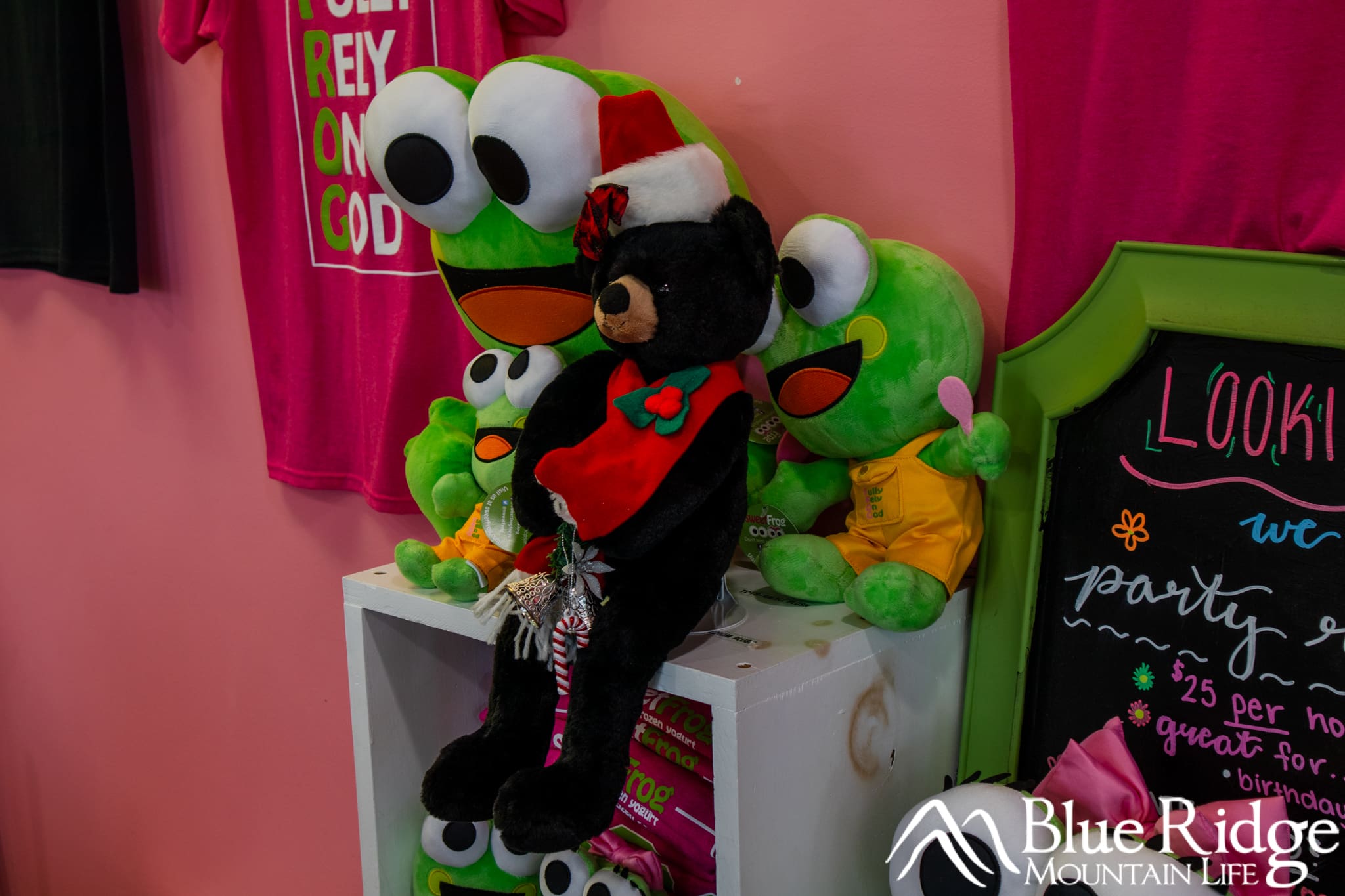 Peppermint Bear Cub at SweetFrog Peppermint Bear Cub at SweetFrog