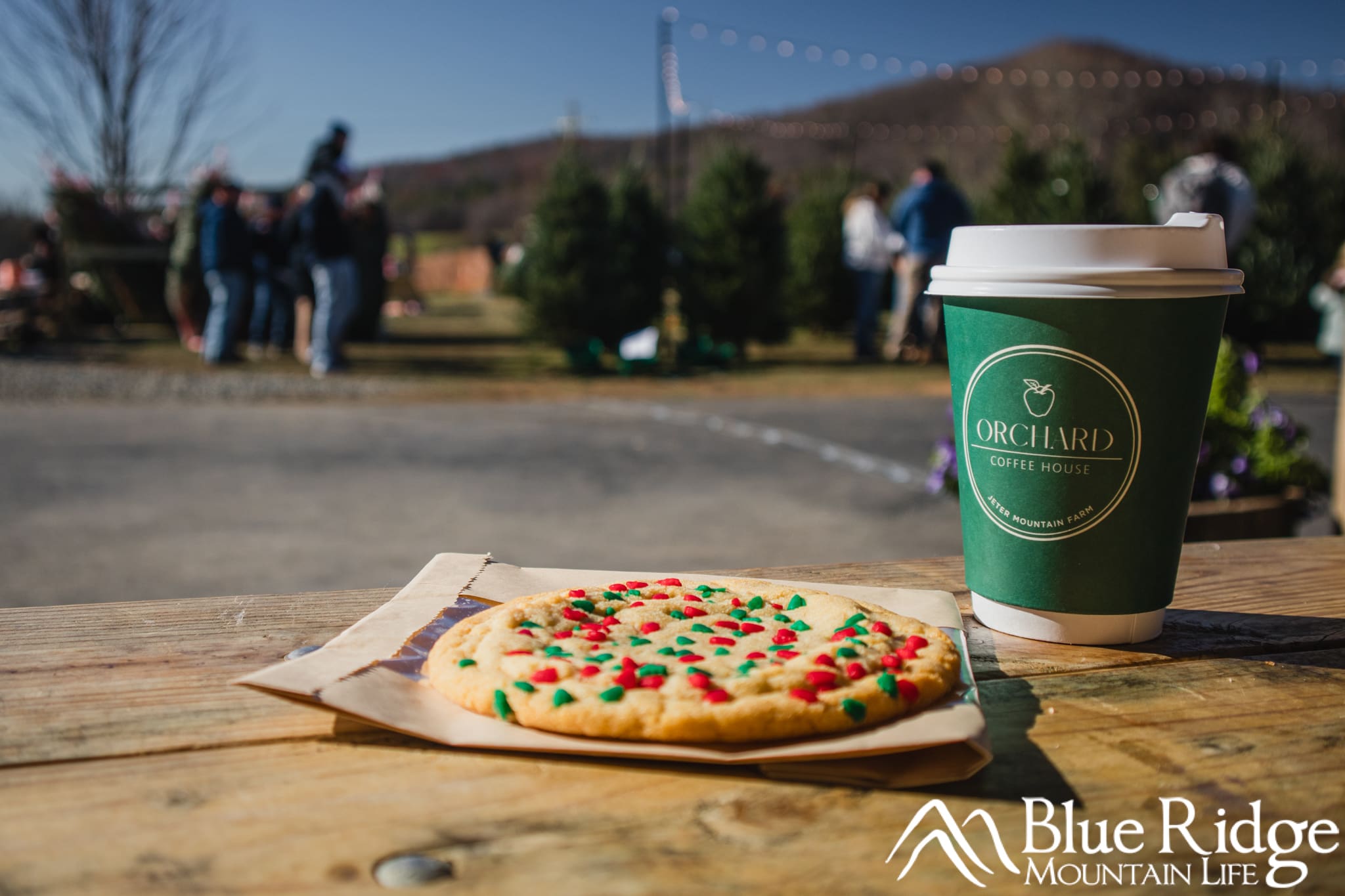 Christmas Sugar Cookie and Hot Drink Christmas Sugar Cookie and Hot Drink