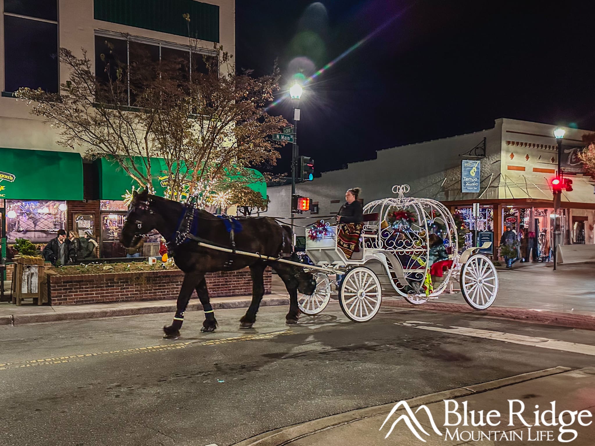 Horse-drawn Carriage Ride in Hendersonville NC Horse-drawn Carriage Ride in Hendersonville NC