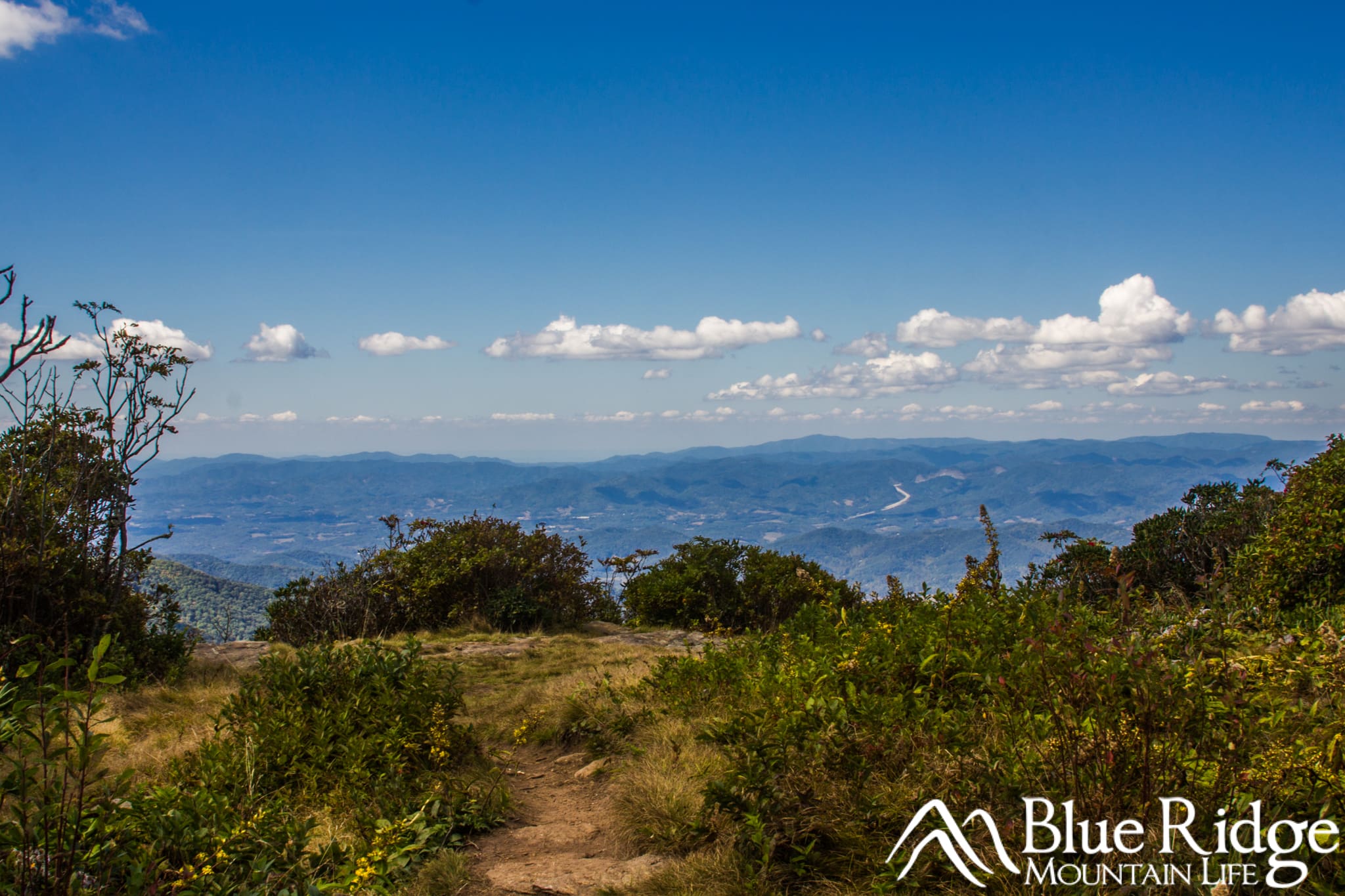 View from Craggy Gardens Pinnacle Trail View from Craggy Gardens Pinnacle Trail