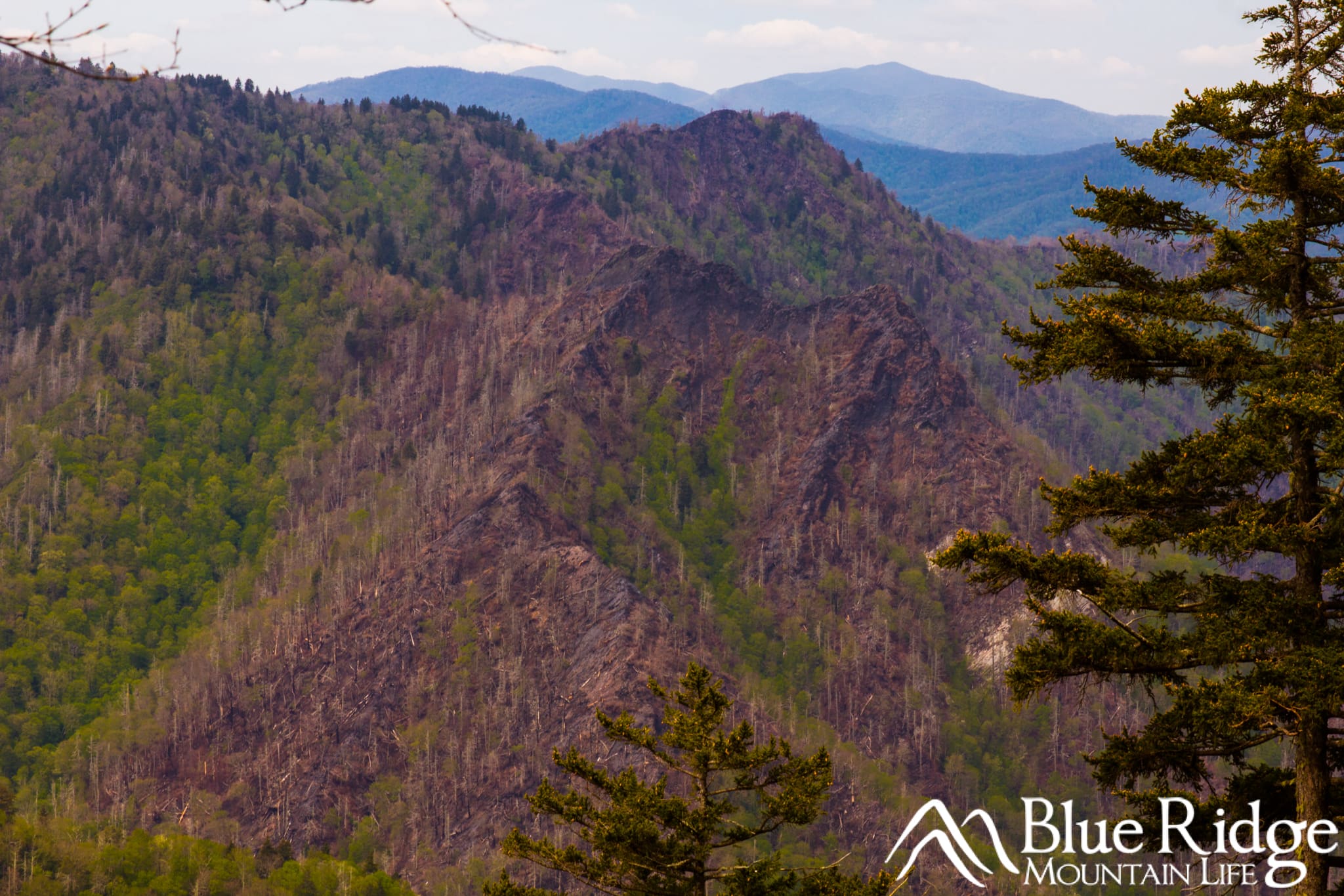Distant view of Chimney Tops Distant view of Chimney Tops - The two rocky peaks are surrounded by other mountains and black on the top from the fire.