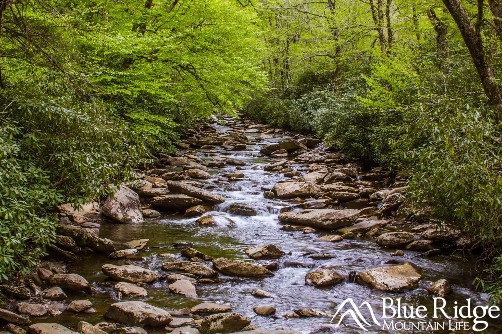 Alum Creek Alum Creek - Beautiful creek flowing over numerous rocks and surrounded by green forest.