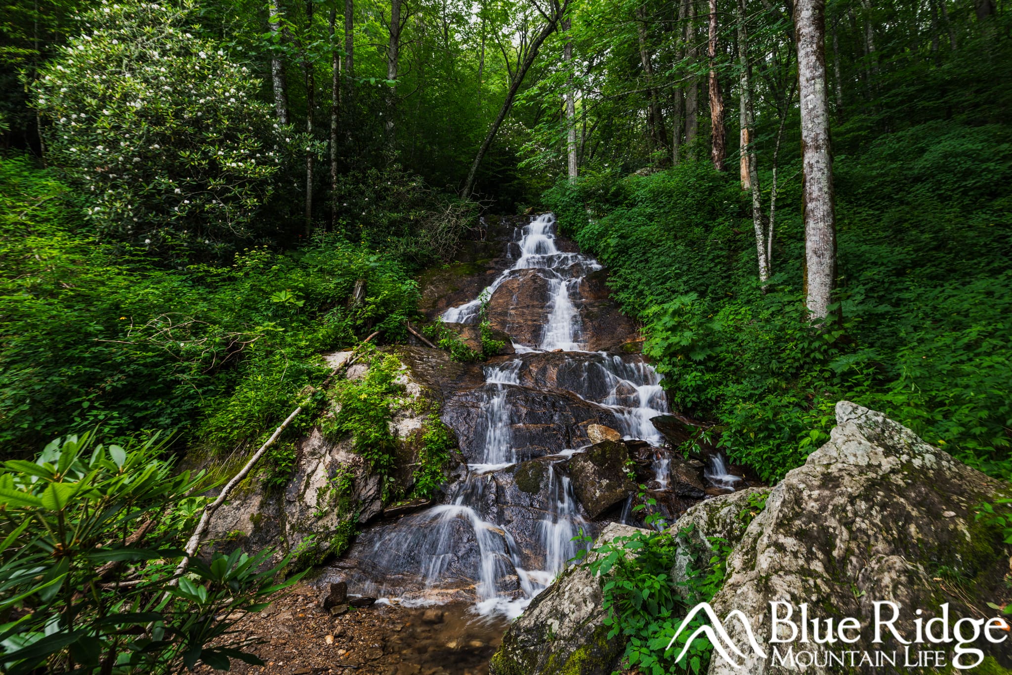 Woodfin Cascades Woodfin Cascades