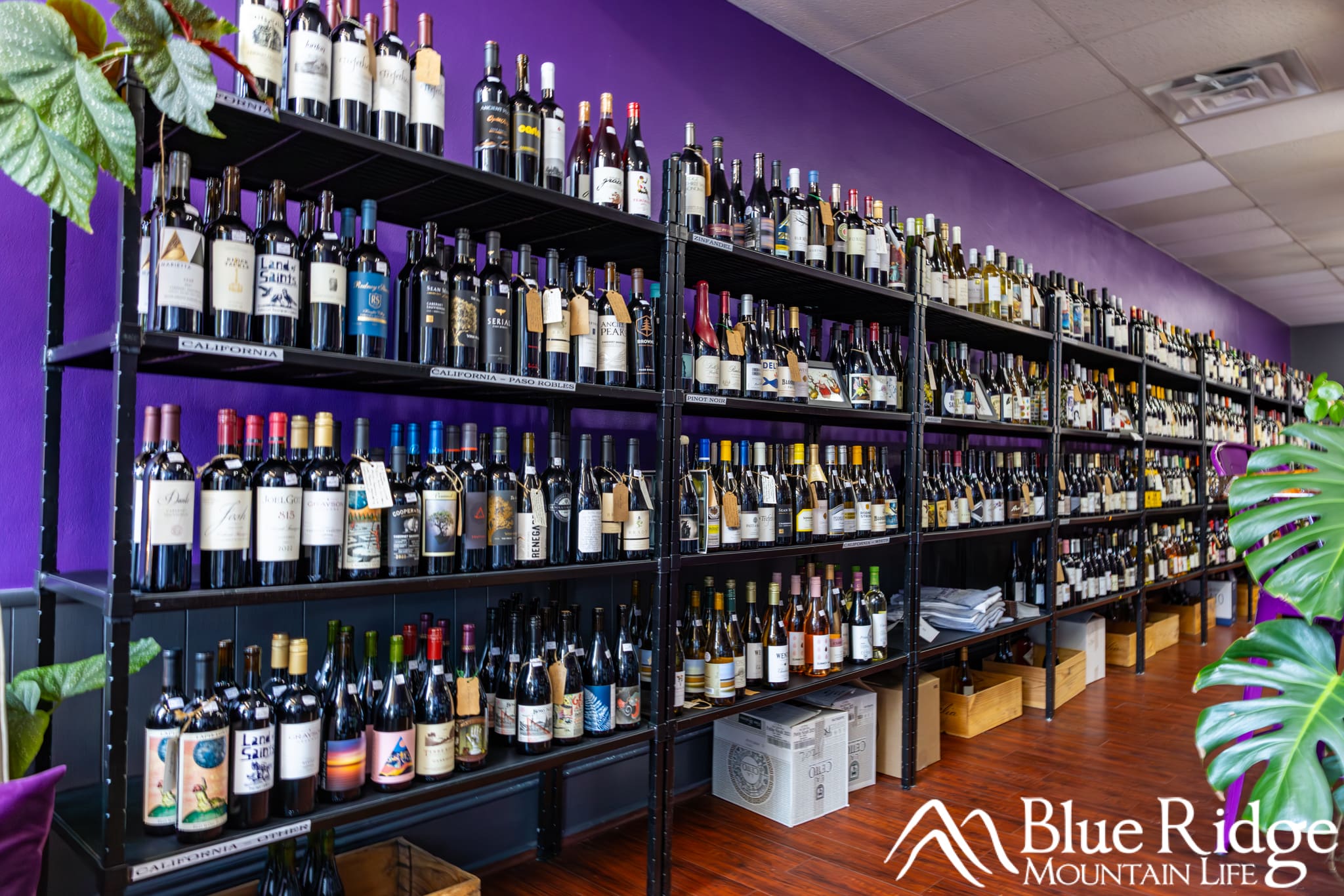 Bottle Selection at Wine Sage Bottle Selection at Wine Sage