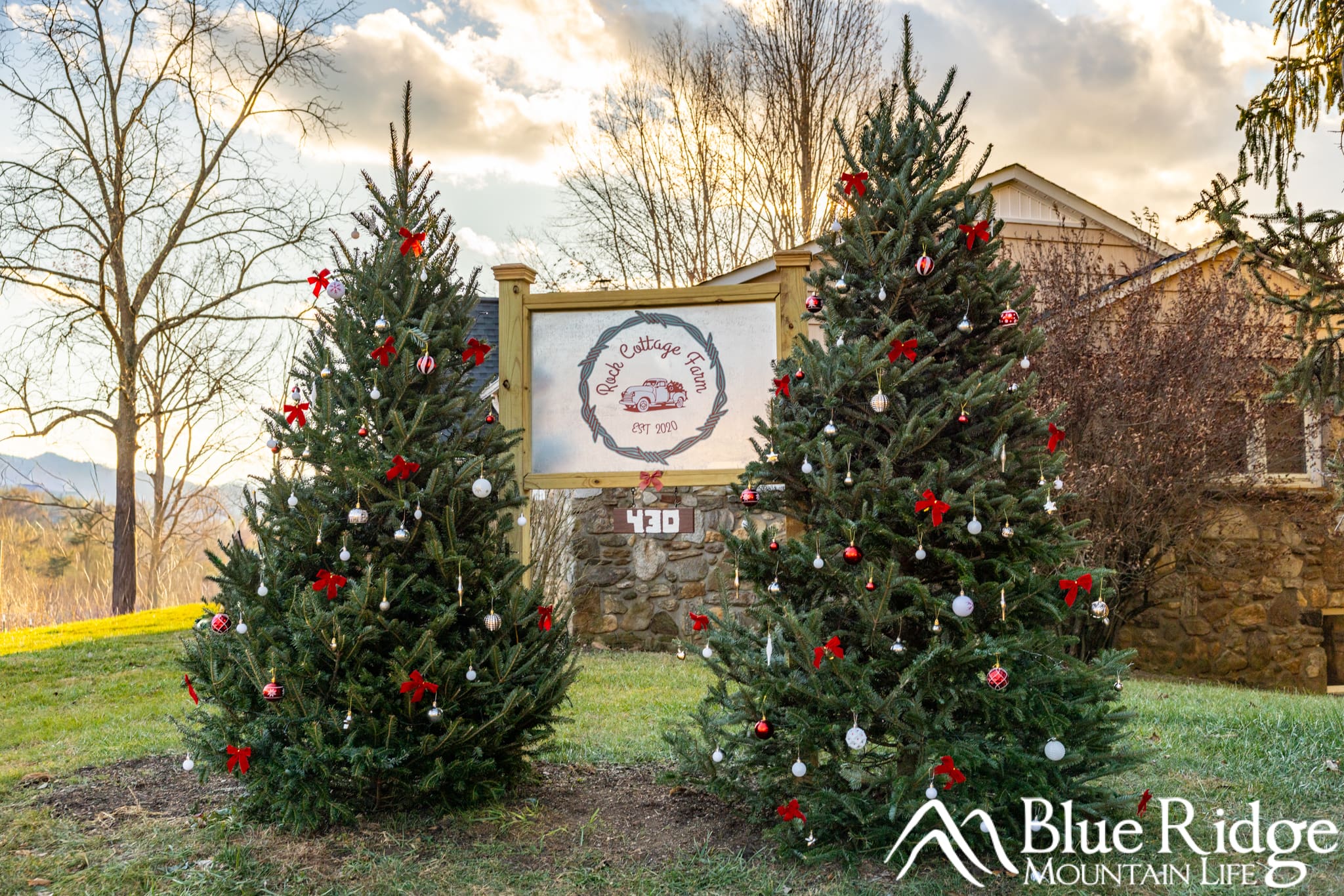 Rock Cottage Farm Christmas Trees Rock Cottage Farm Christmas Trees